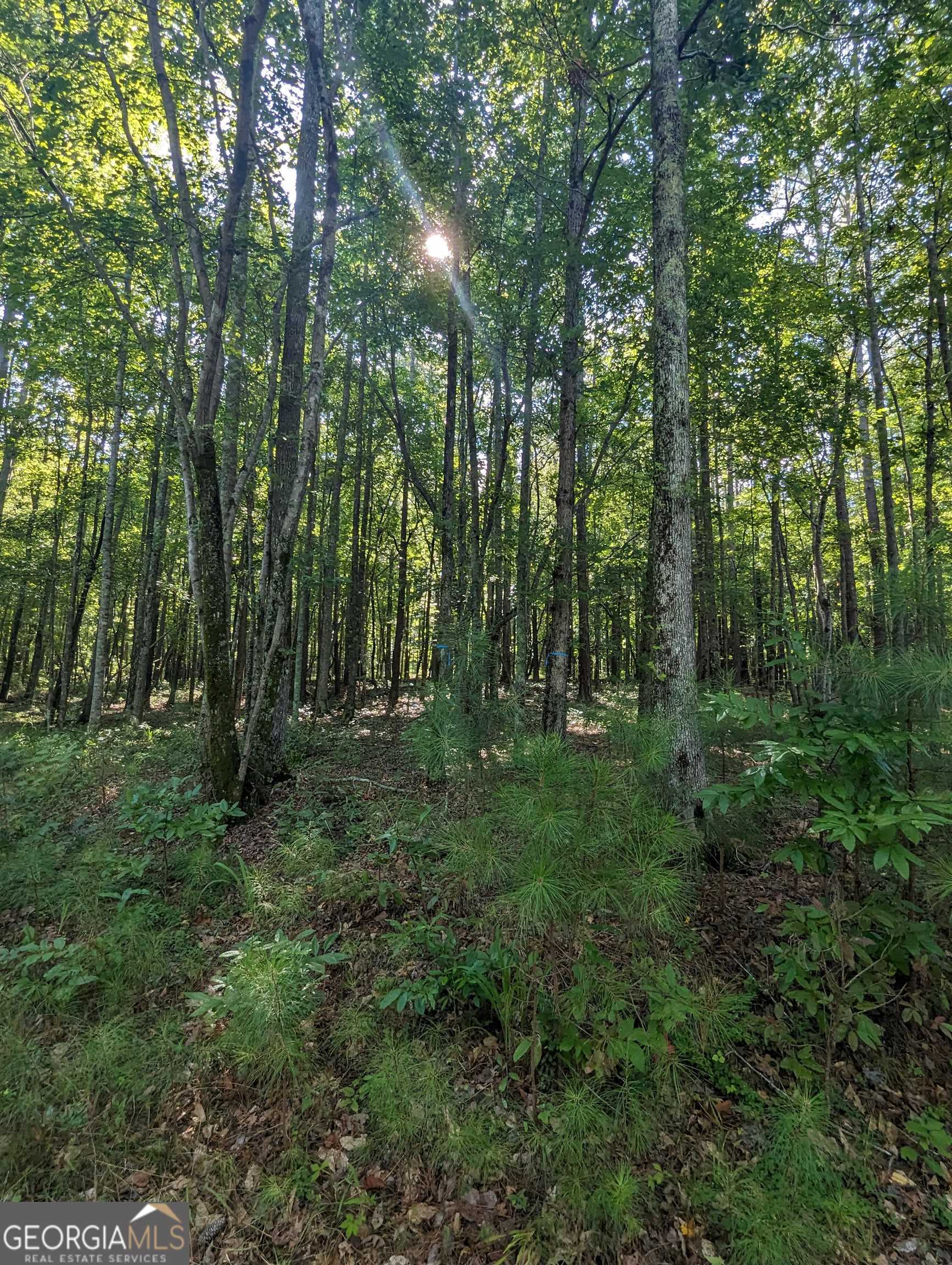 Lot 3 Joe Roberts Road Property Photo 9