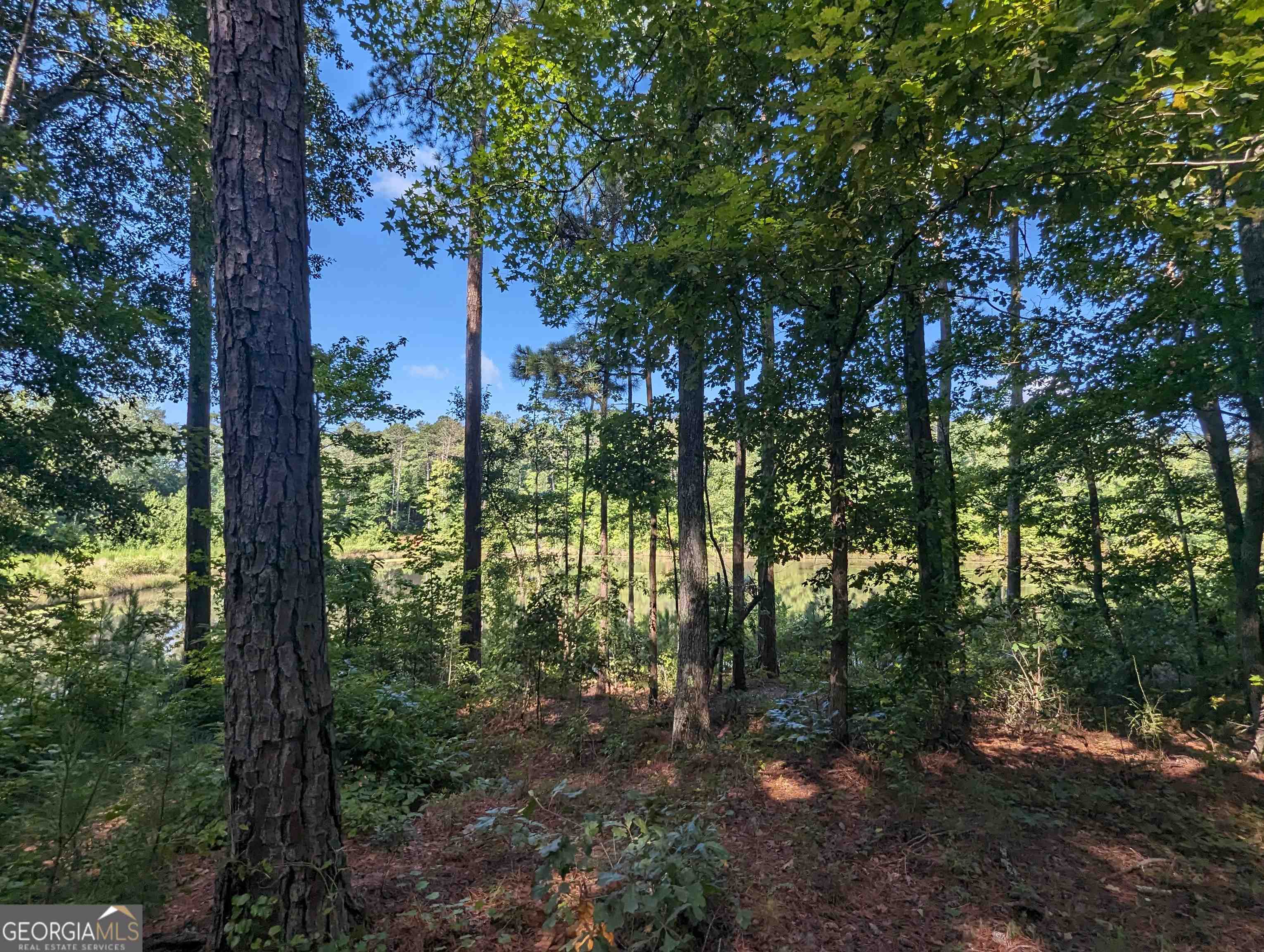 Lot 3 Joe Roberts Road Property Photo 10