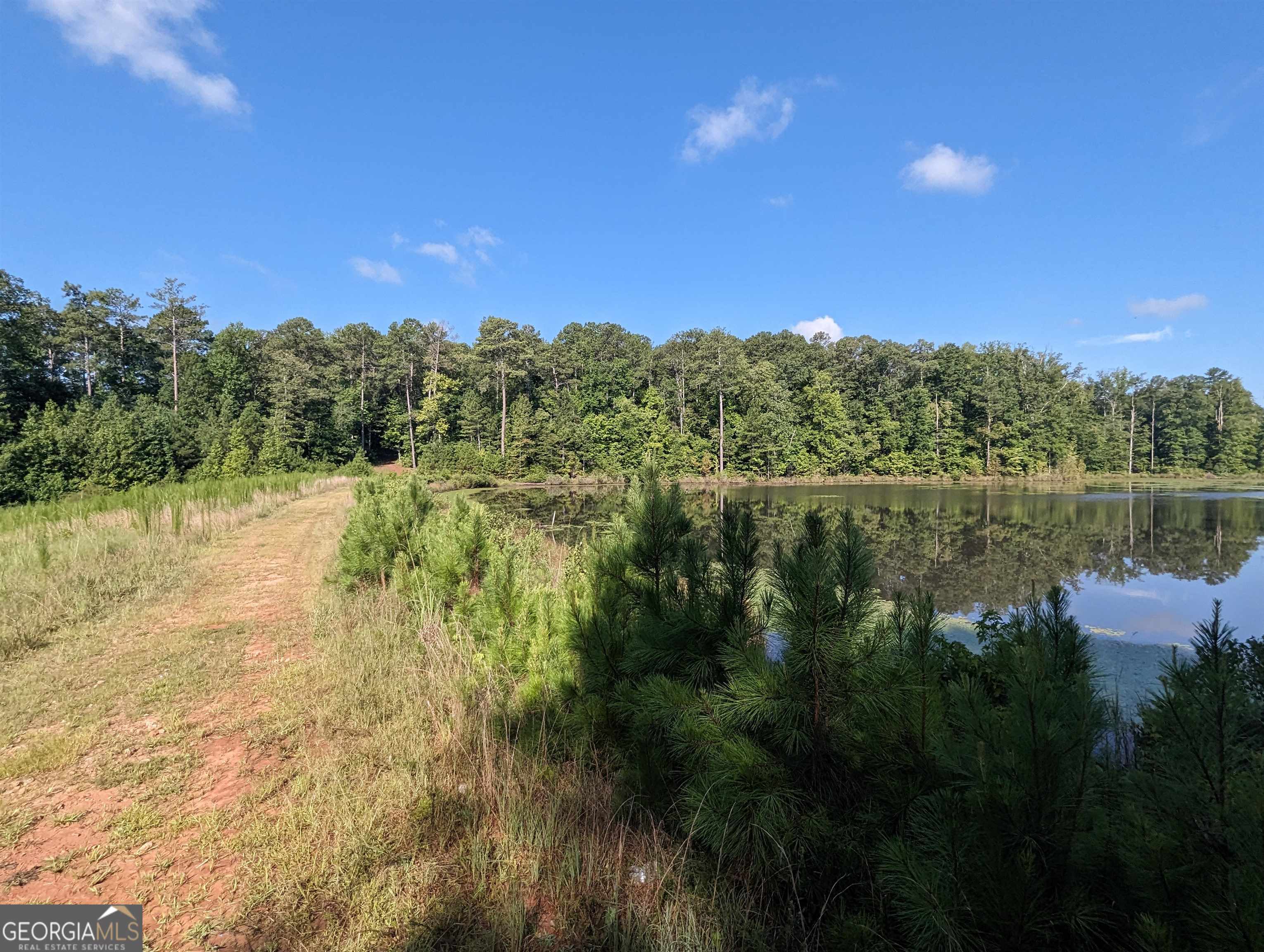 Lot 3 Joe Roberts Road Property Photo 12