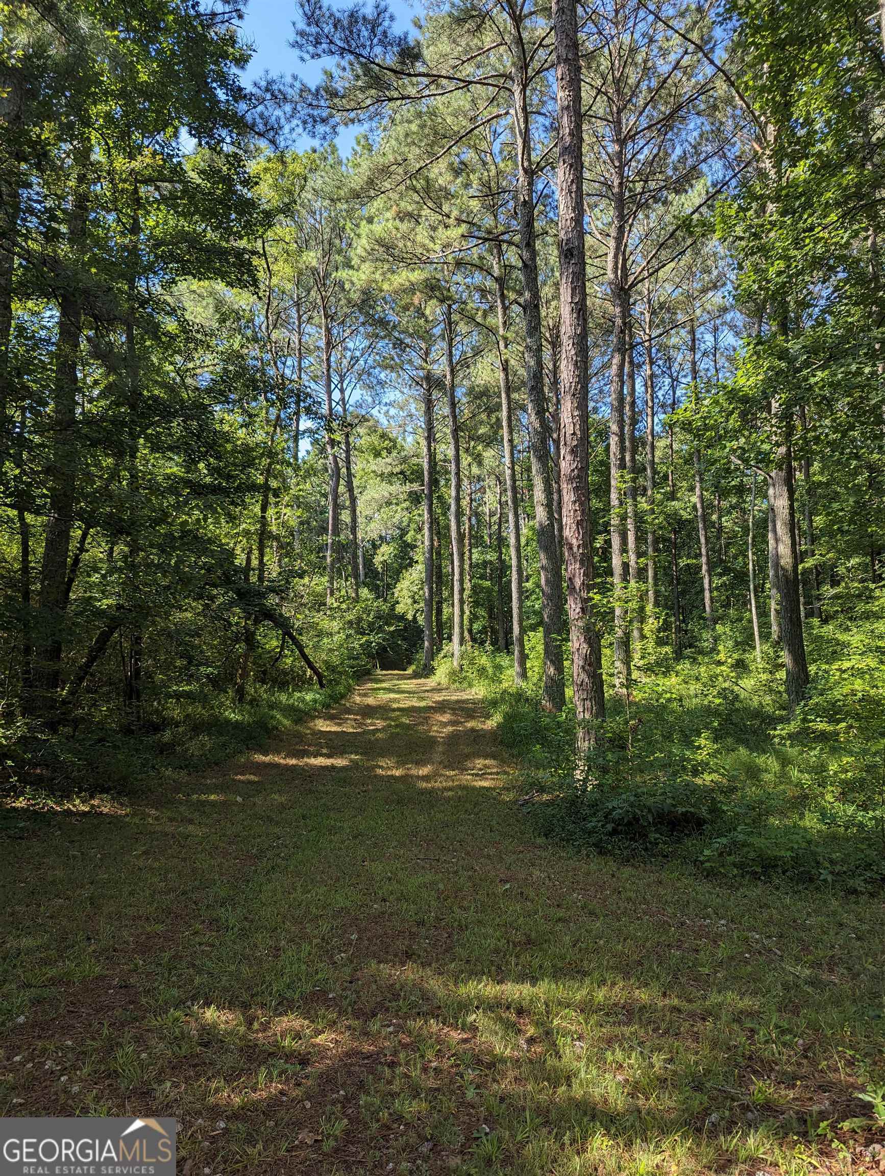 Lot 3 Joe Roberts Road Property Photo 13