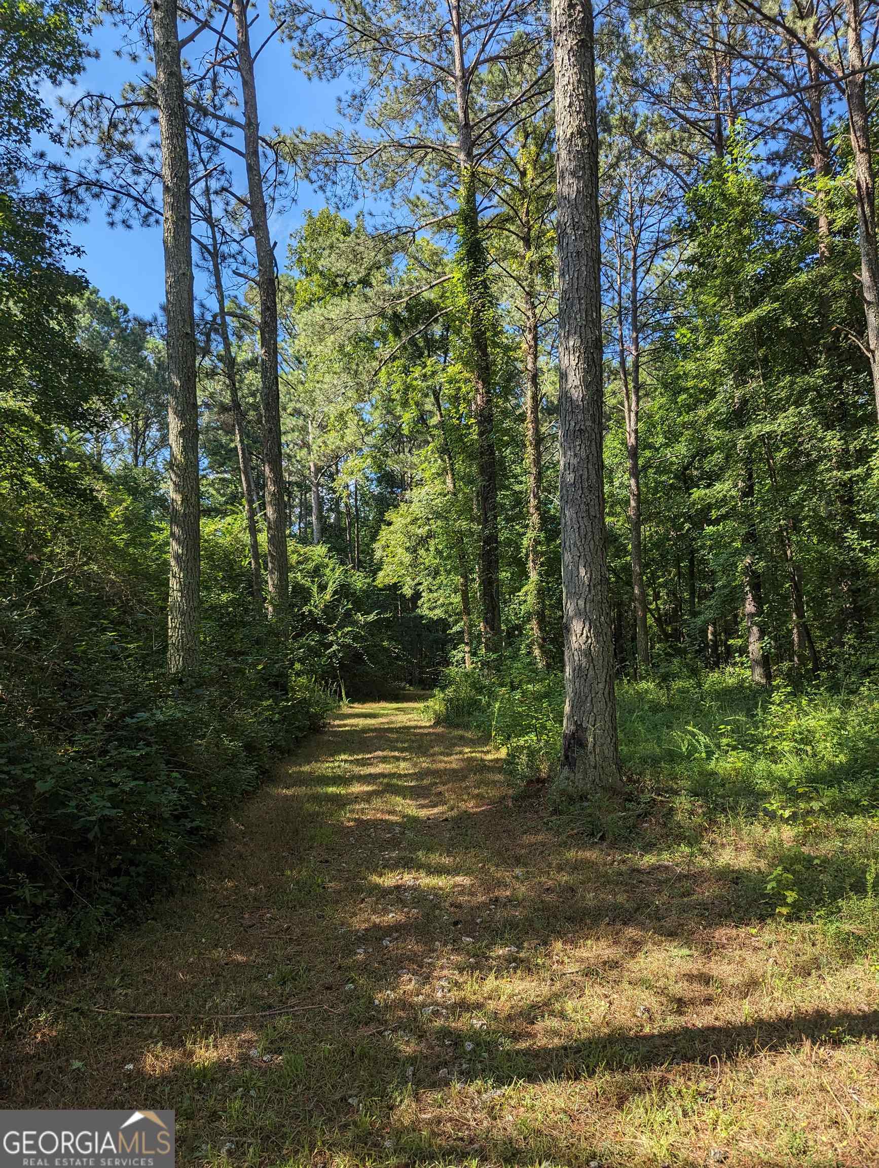 Lot 3 Joe Roberts Road Property Photo 14