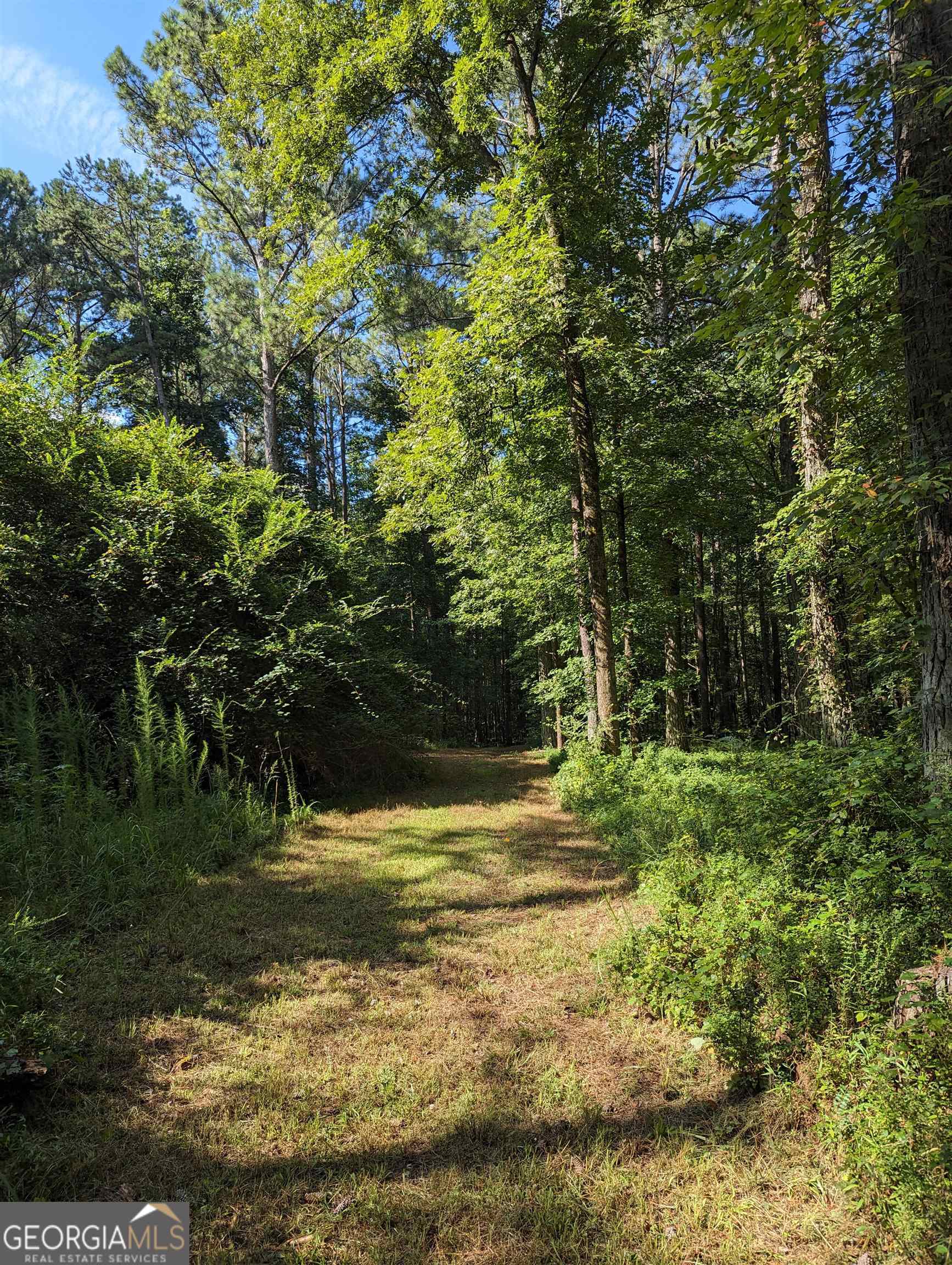 Lot 3 Joe Roberts Road Property Photo 15