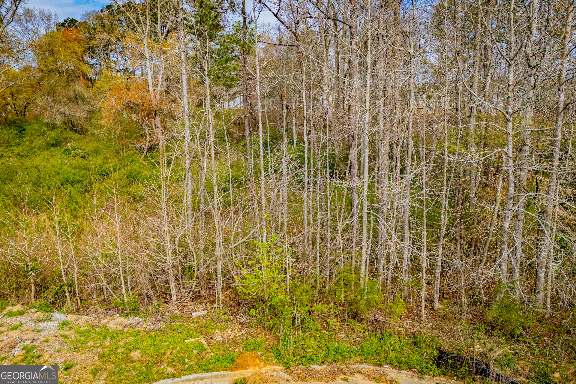 138 Deer Crossing Property Photo 25