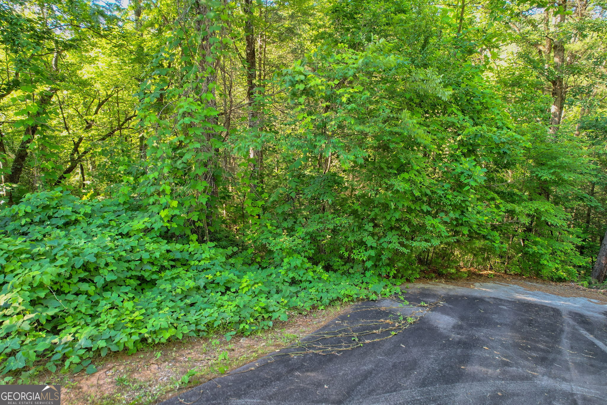 Lot 112 Timber Creek Drive Property Photo 1