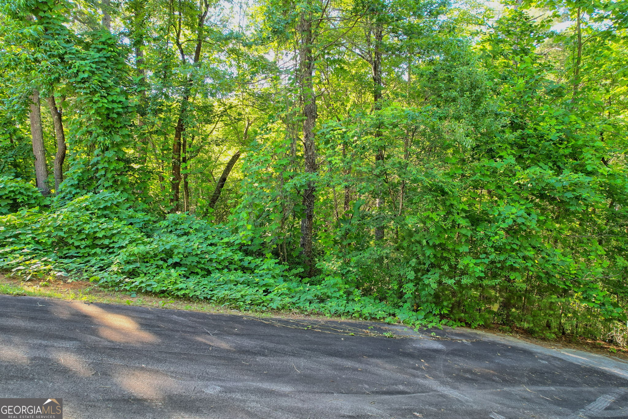 Lot 112 Timber Creek Drive Property Photo 3