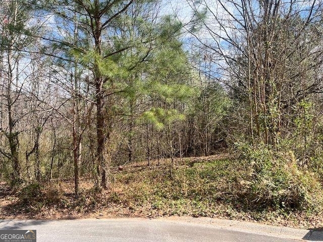 78 Heights Hollow Property Photo 1