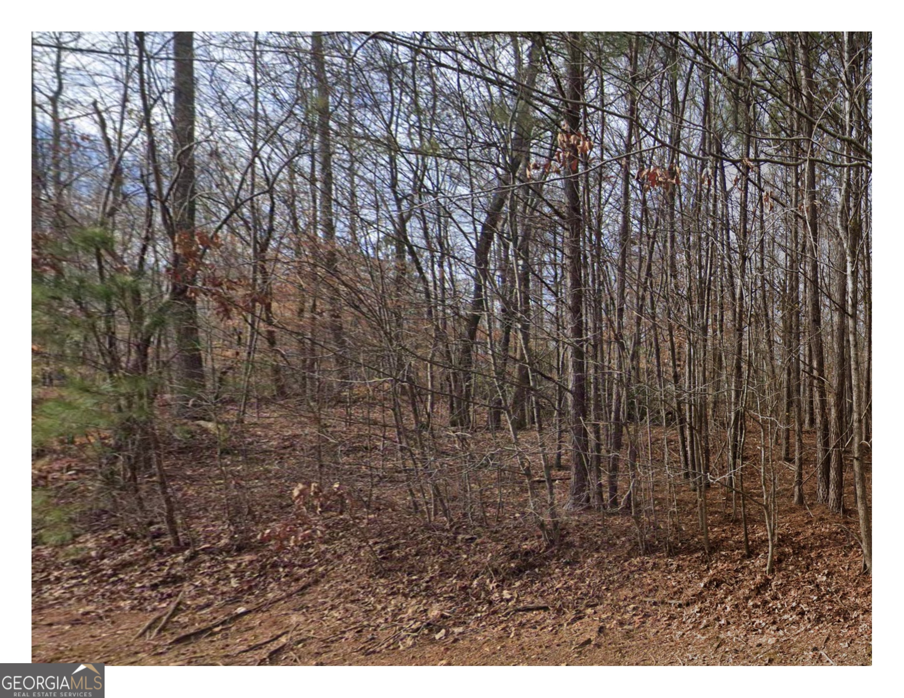 3281 Laura Lane Property Photo 3
