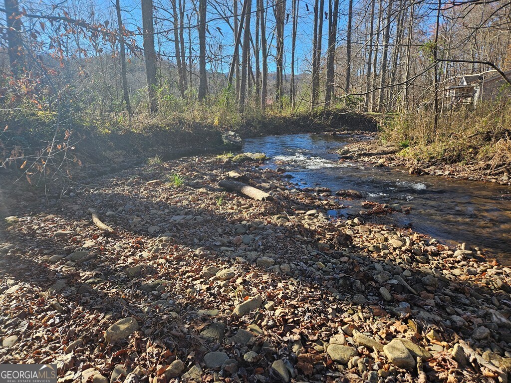 0 Mountain Meadows Drive Property Photo 1