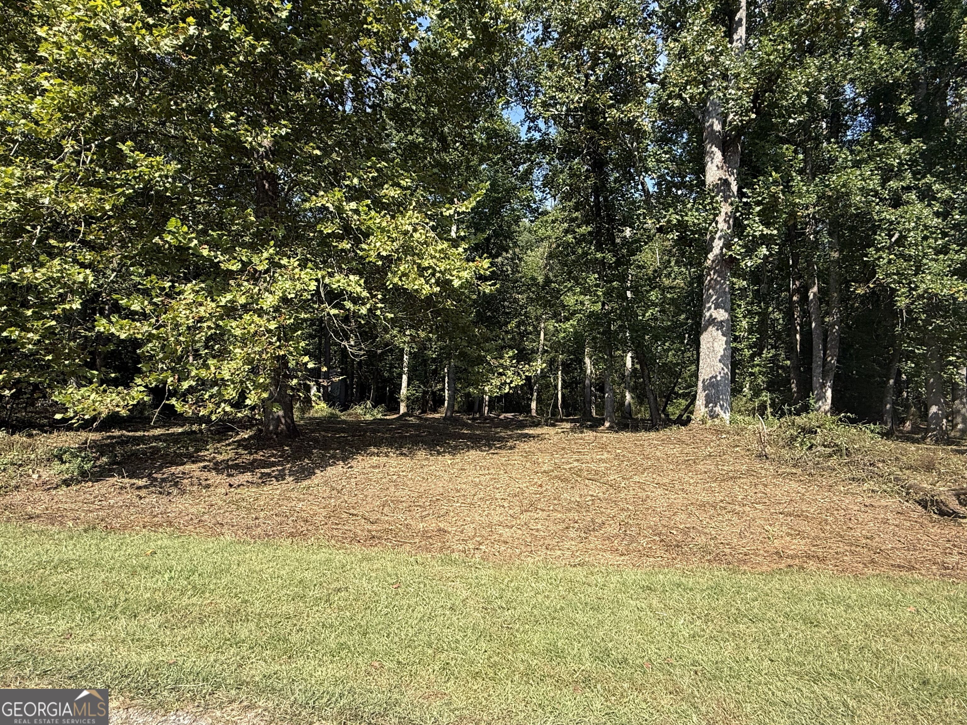 0 Mountain Meadows Drive Property Photo 1