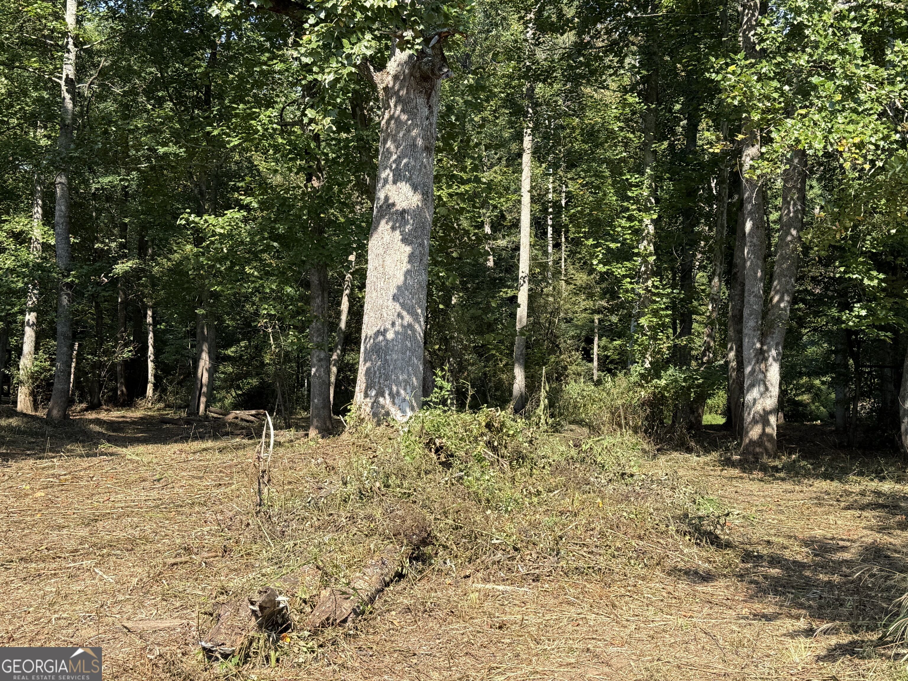 0 Mountain Meadows Drive Property Photo 3