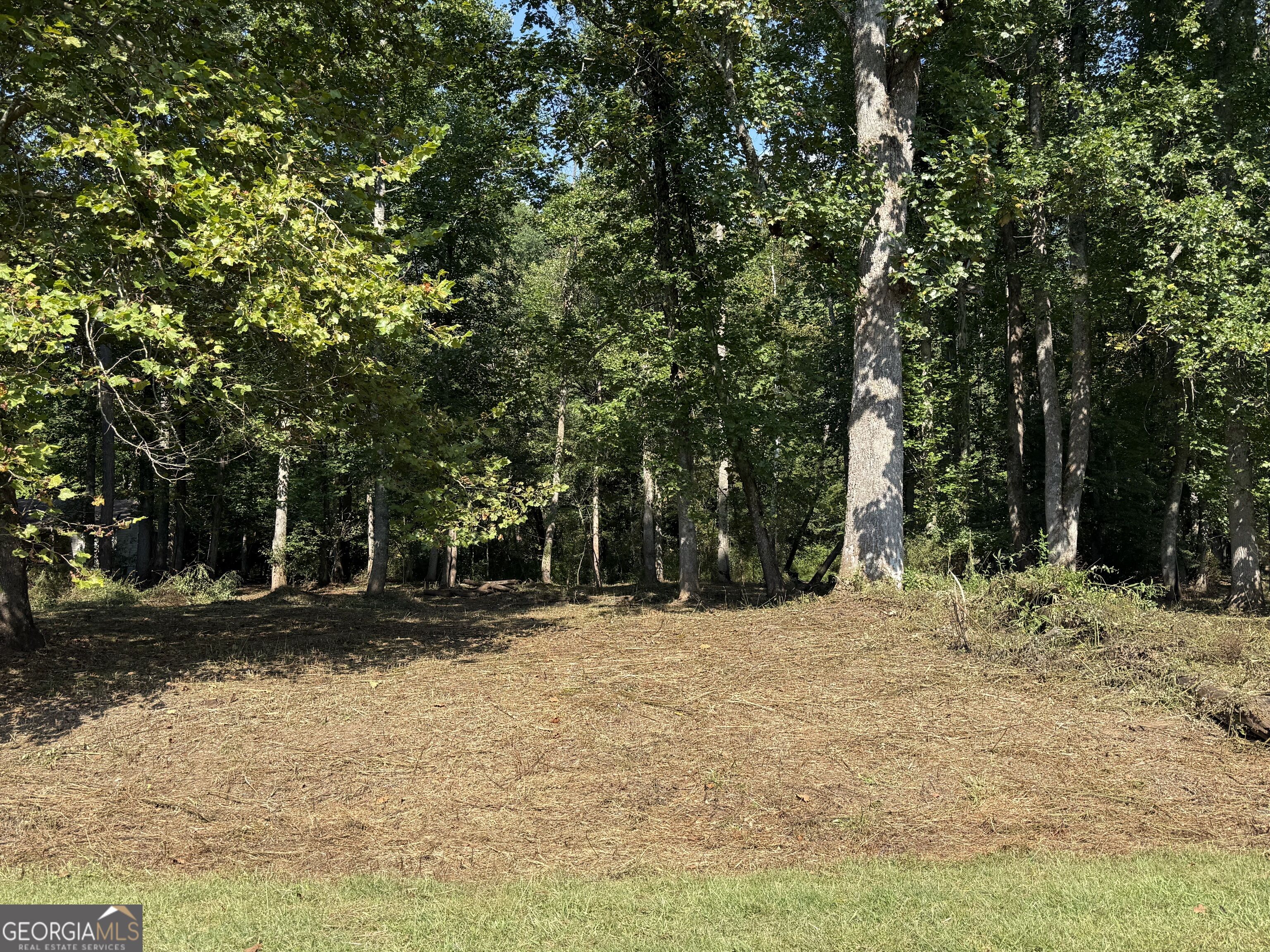 0 Mountain Meadows Drive Property Photo 4
