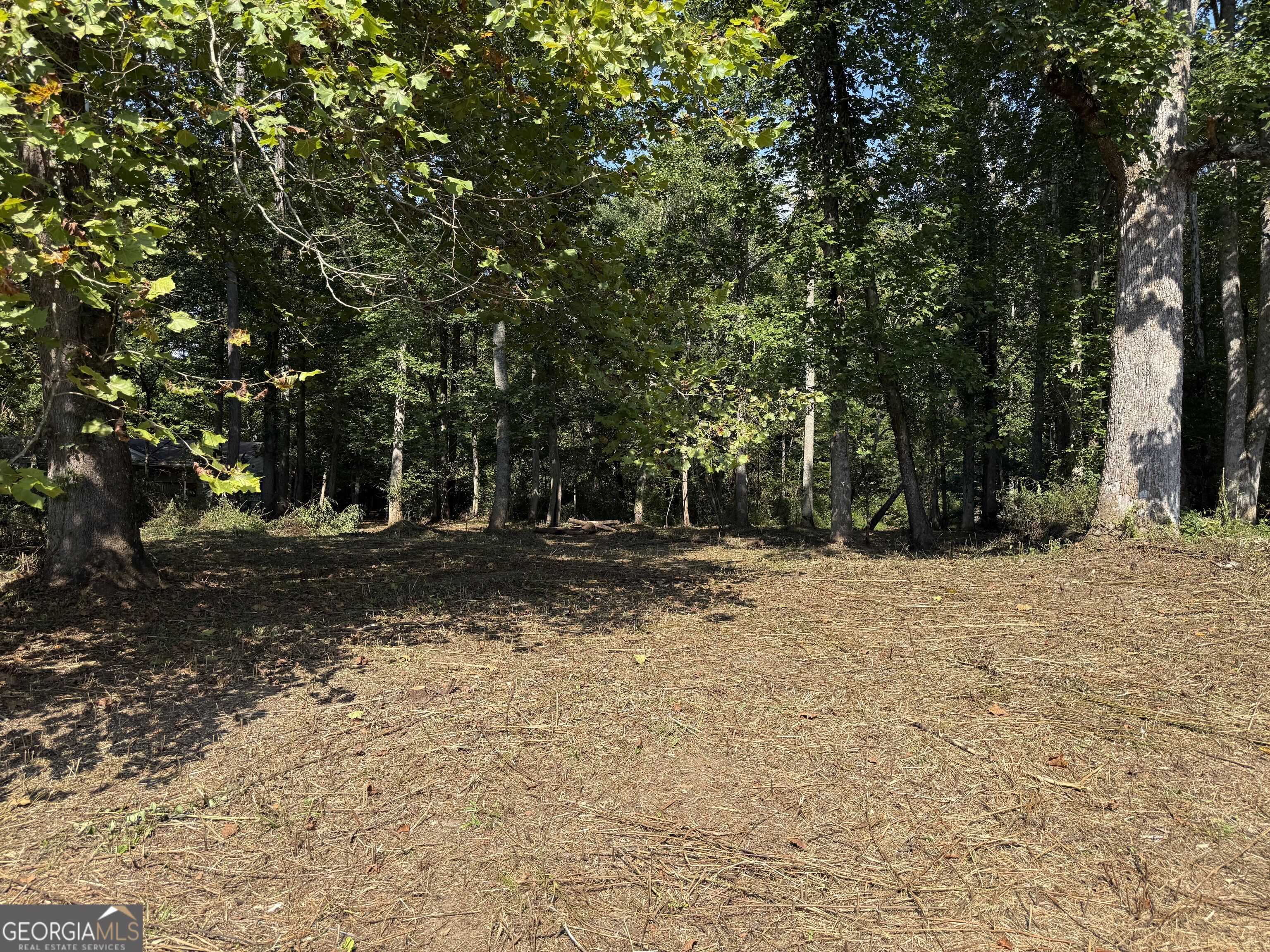 0 Mountain Meadows Drive Property Photo 5