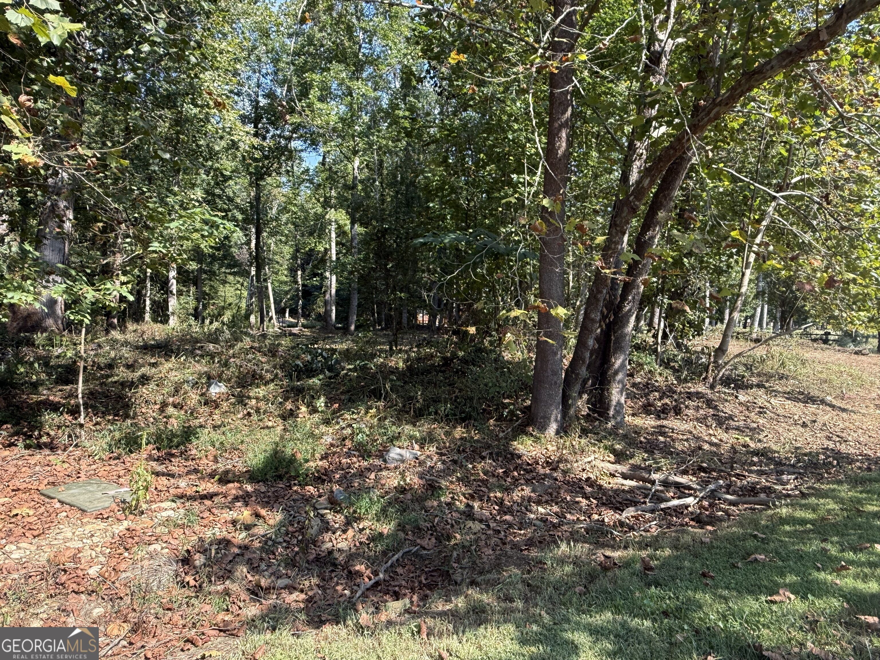0 Mountain Meadows Drive Property Photo 6