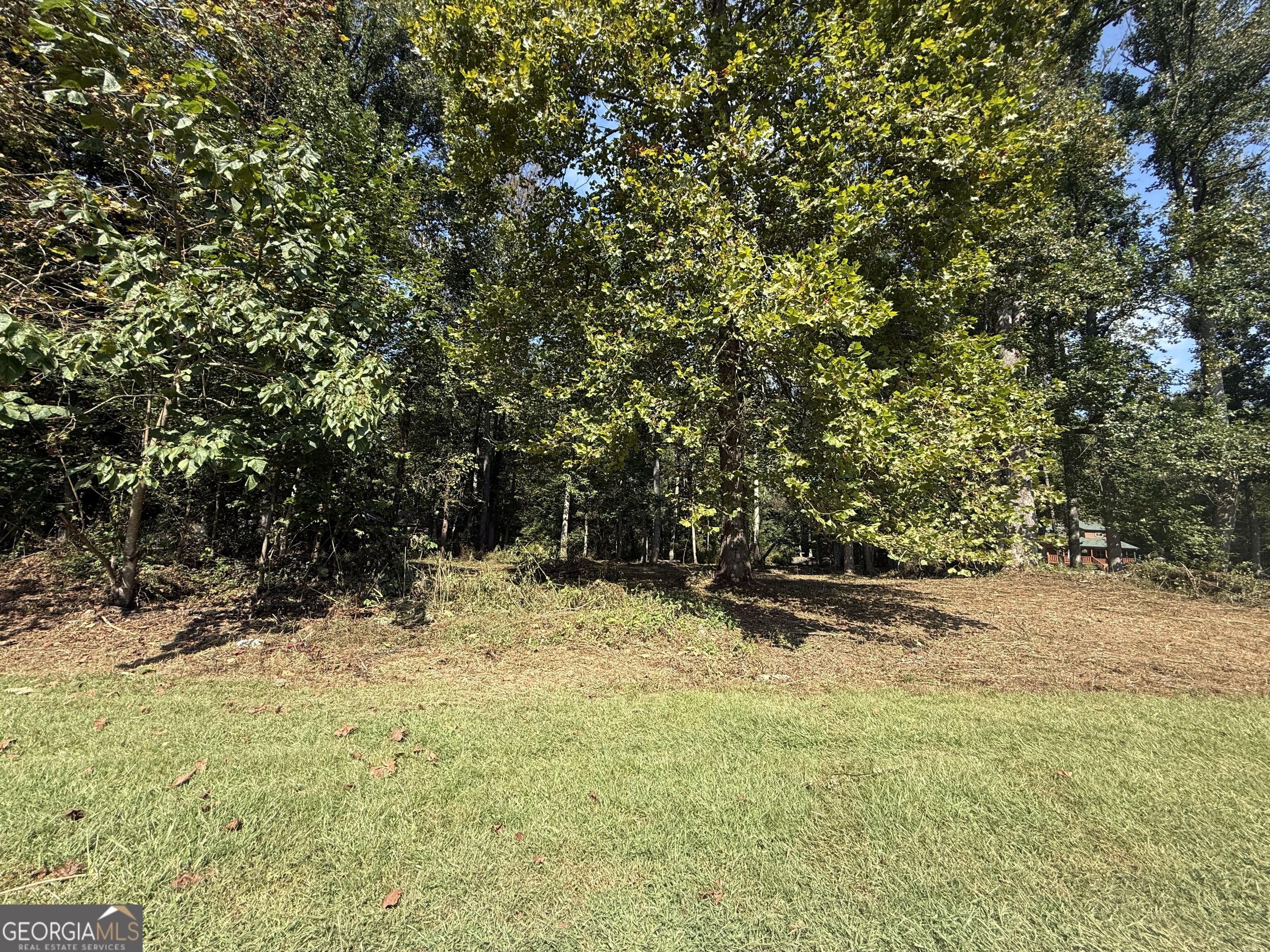 0 Mountain Meadows Drive Property Photo 7