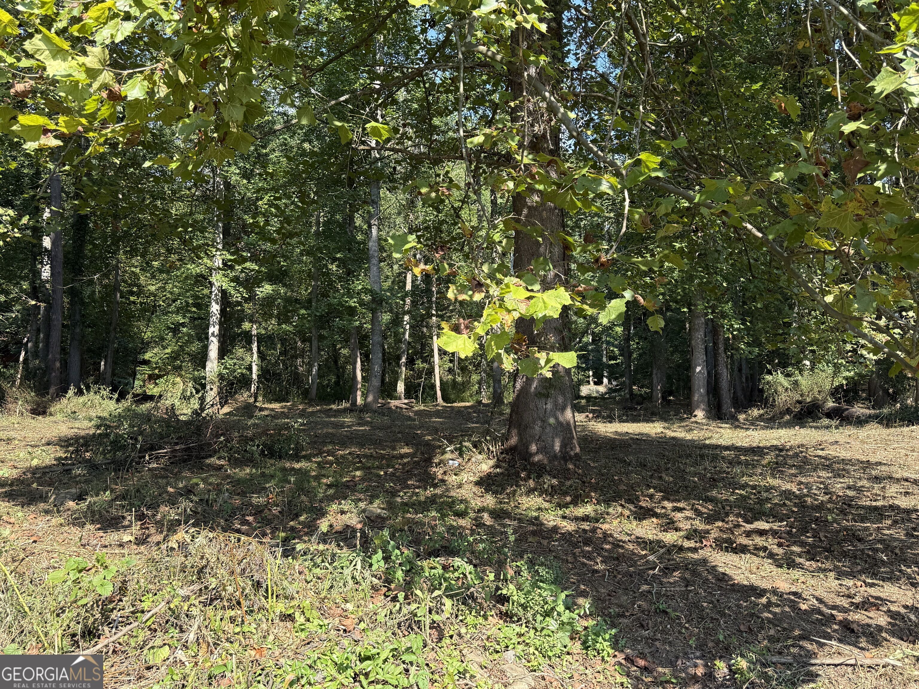 0 Mountain Meadows Drive Property Photo 8