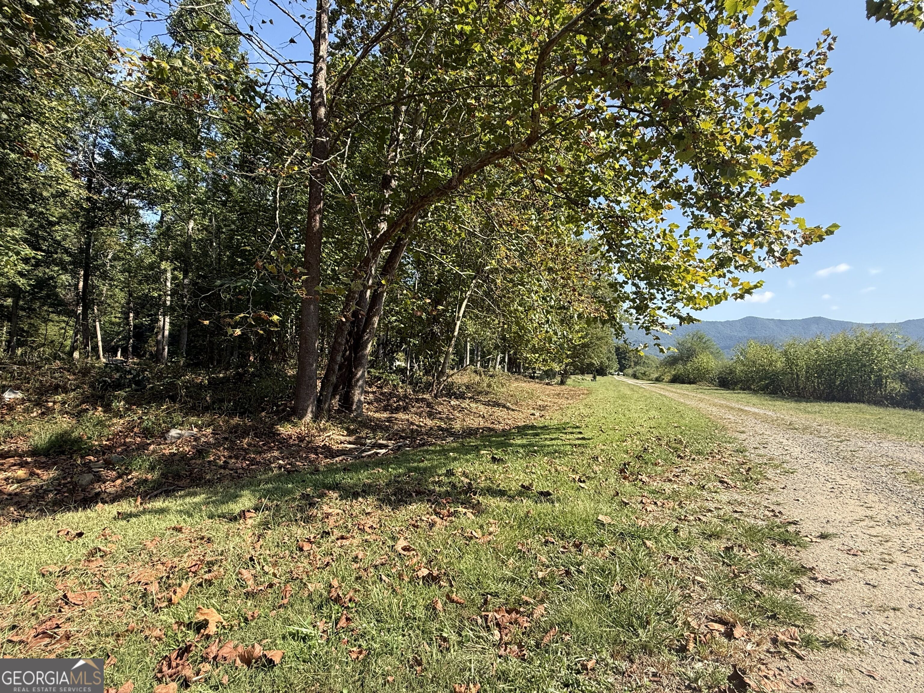 0 Mountain Meadows Drive Property Photo 9