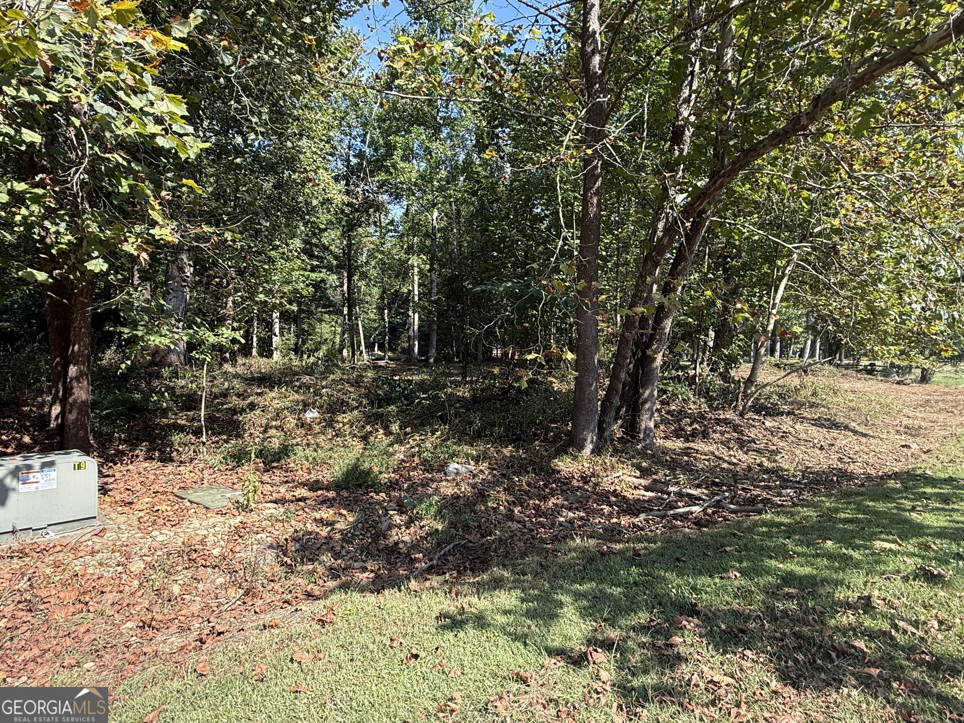 0 Mountain Meadows Drive Property Photo 10
