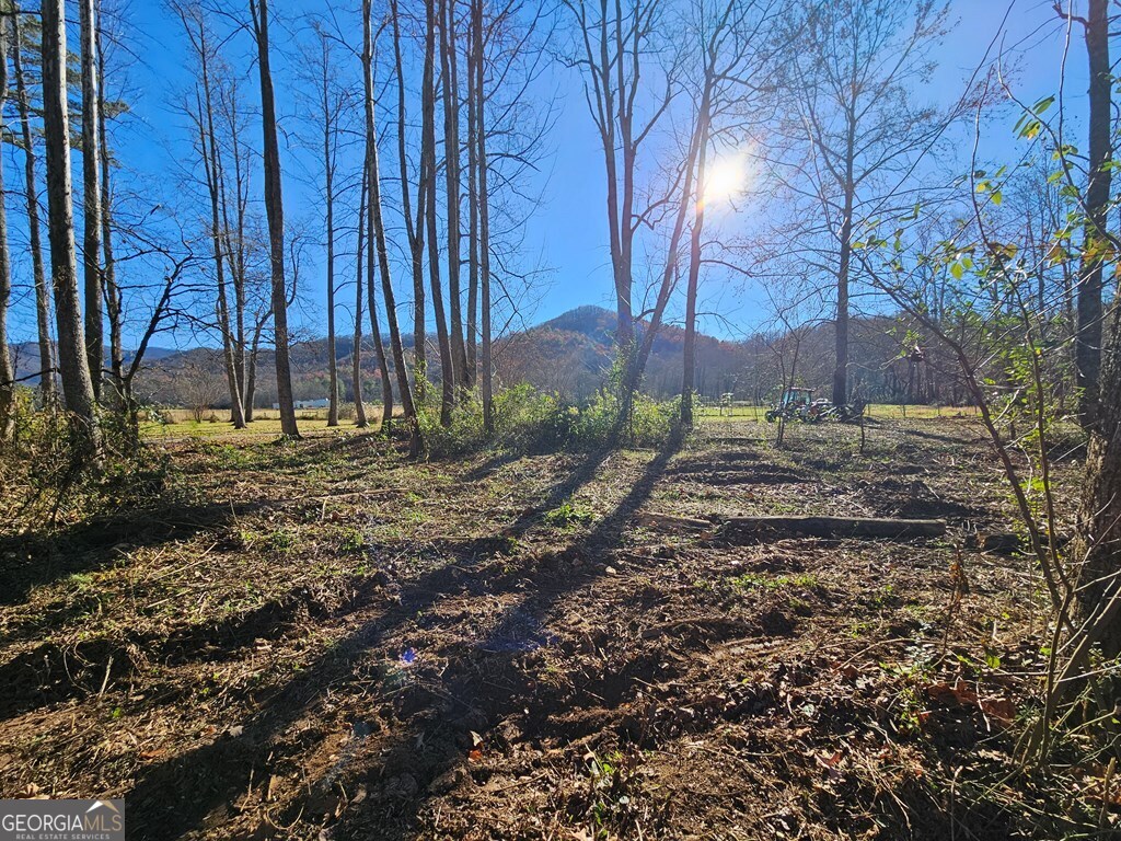 0 Mountain Meadows Drive Property Photo 14