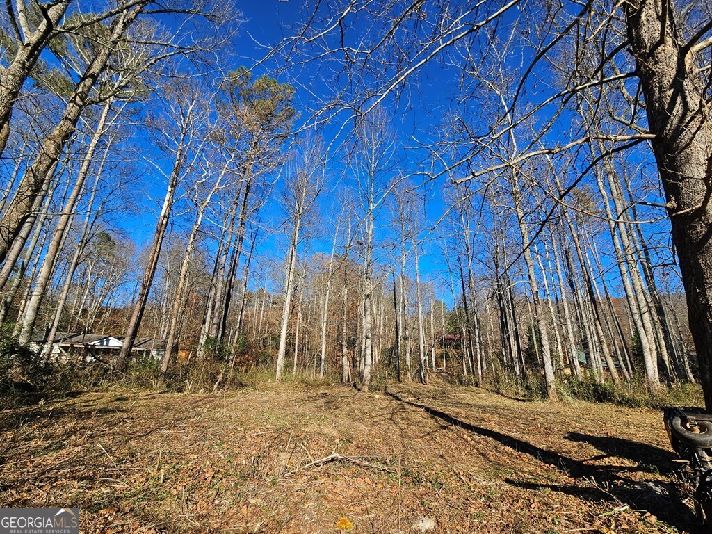 0 Mountain Meadows Drive Property Photo 15