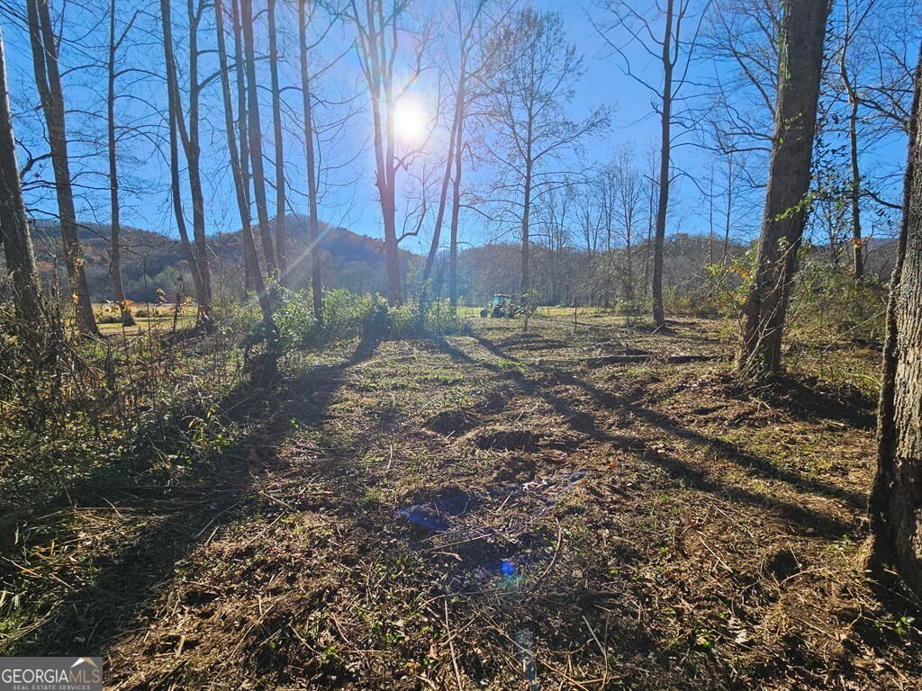 0 Mountain Meadows Drive Property Photo 16