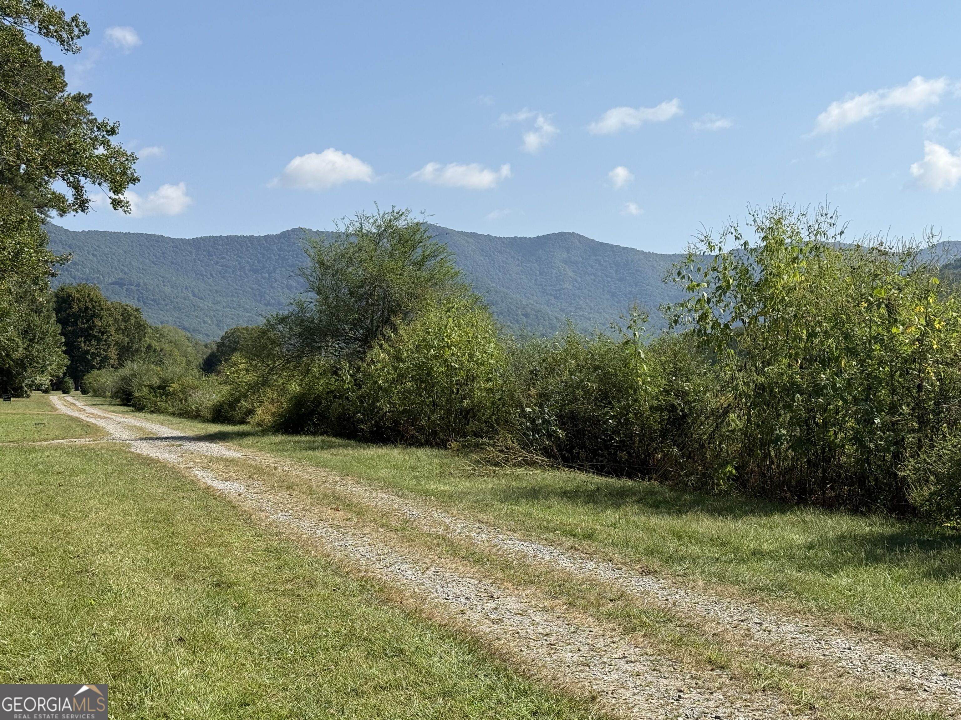 0 Mountain Meadows Drive Property Photo 17