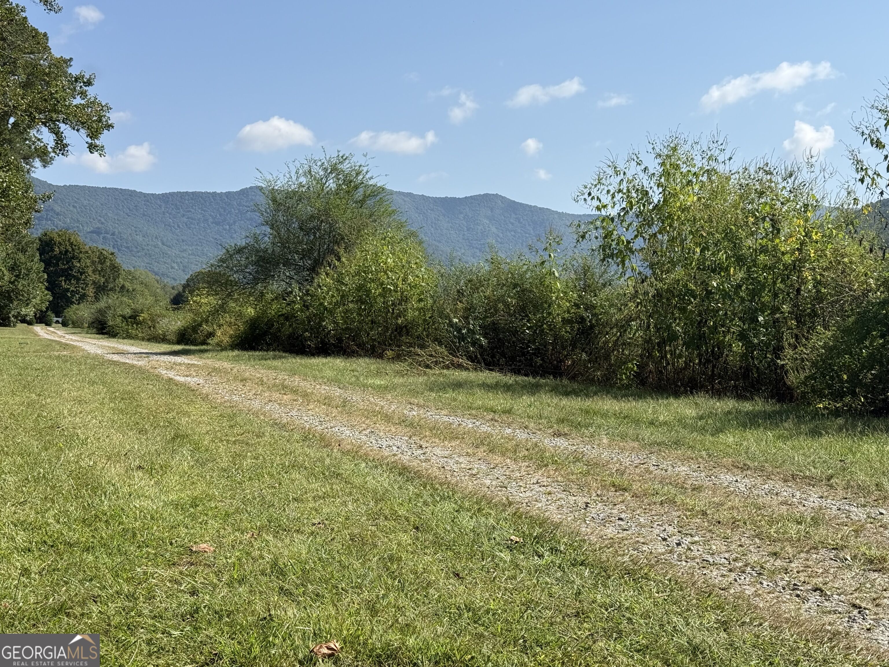0 Mountain Meadows Drive Property Photo 18