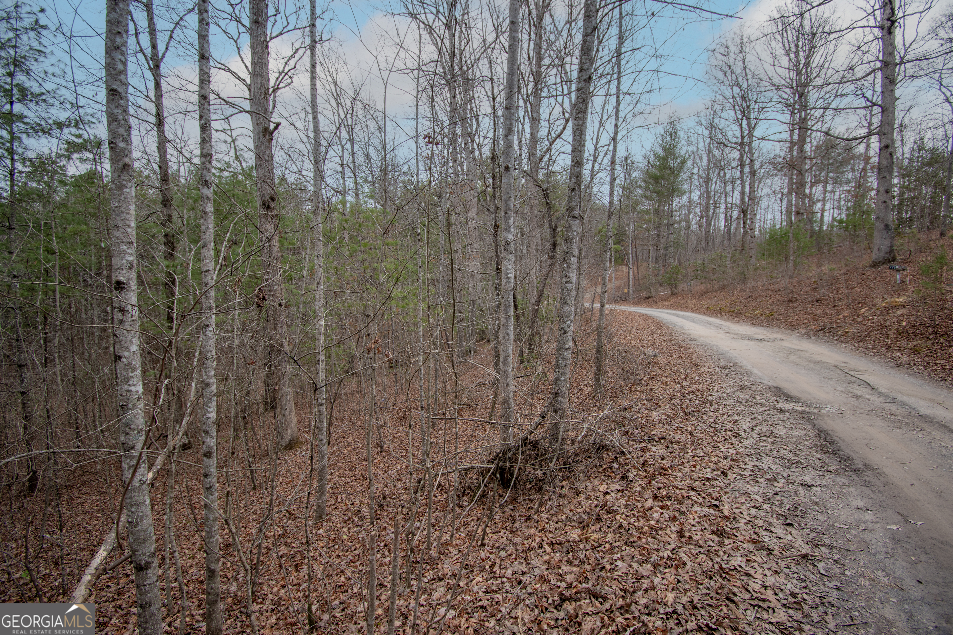 Lot 38 Posey Place Property Photo 1