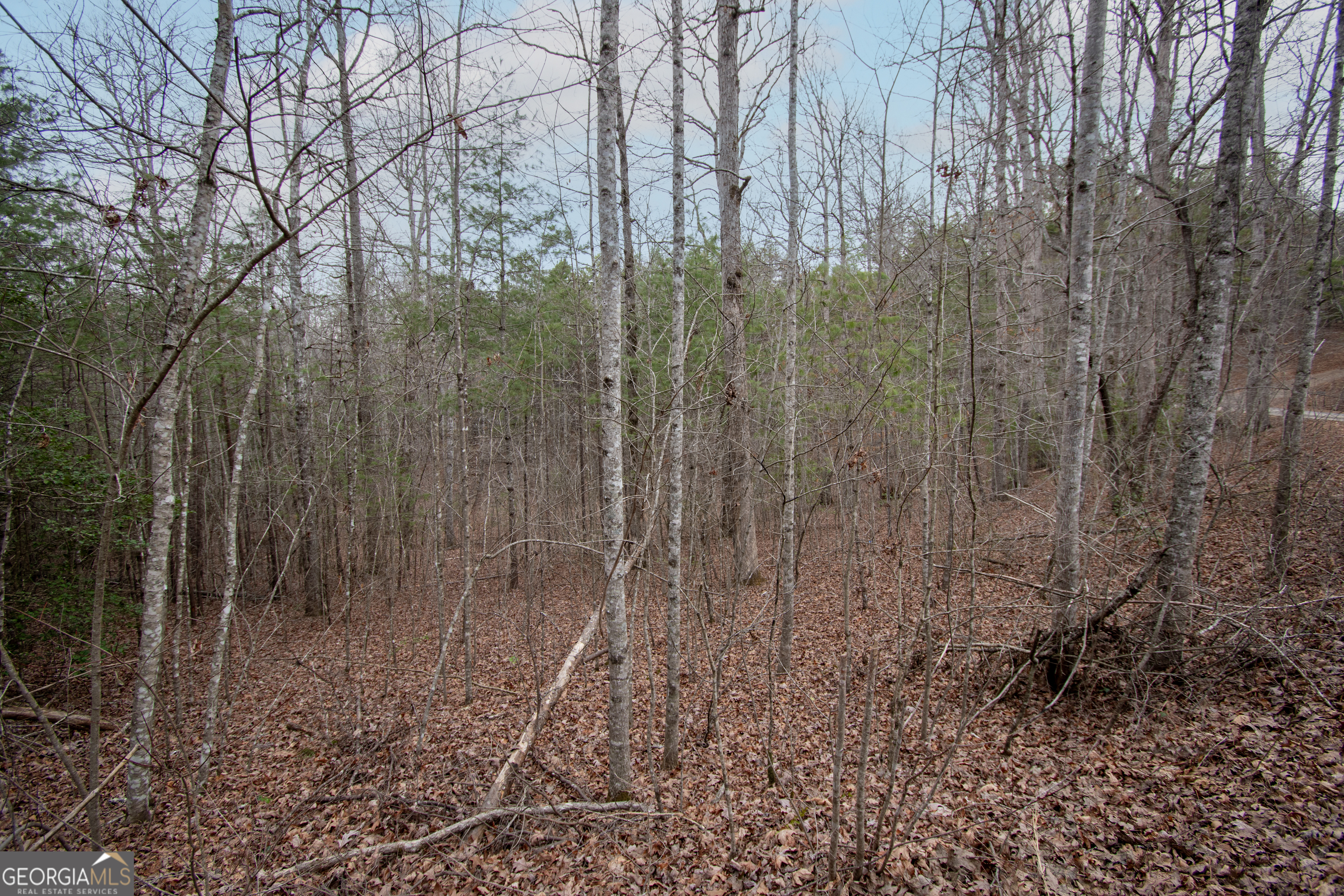 Lot 38 Posey Place Property Photo 2