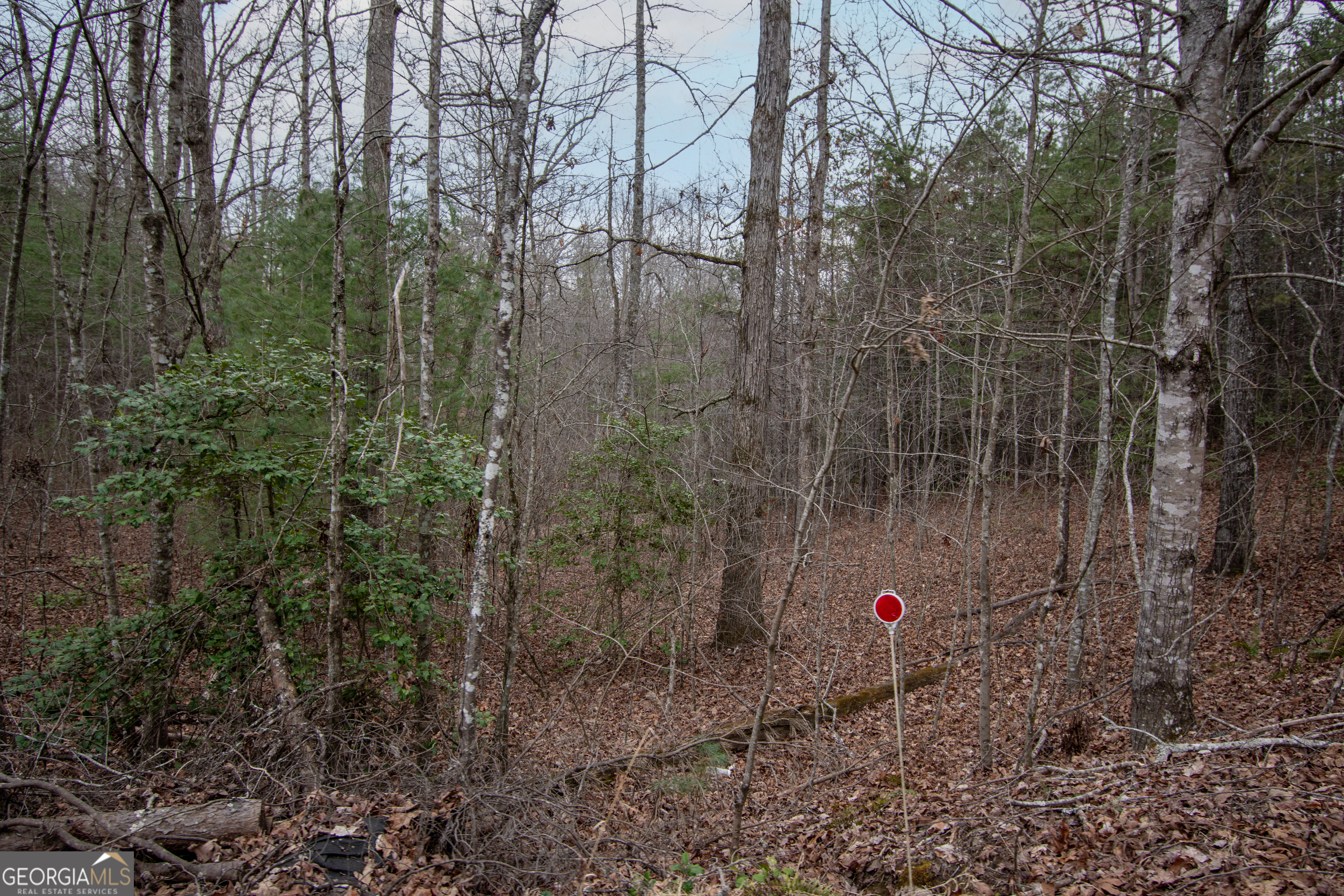 Lot 38 Posey Place Property Photo 3