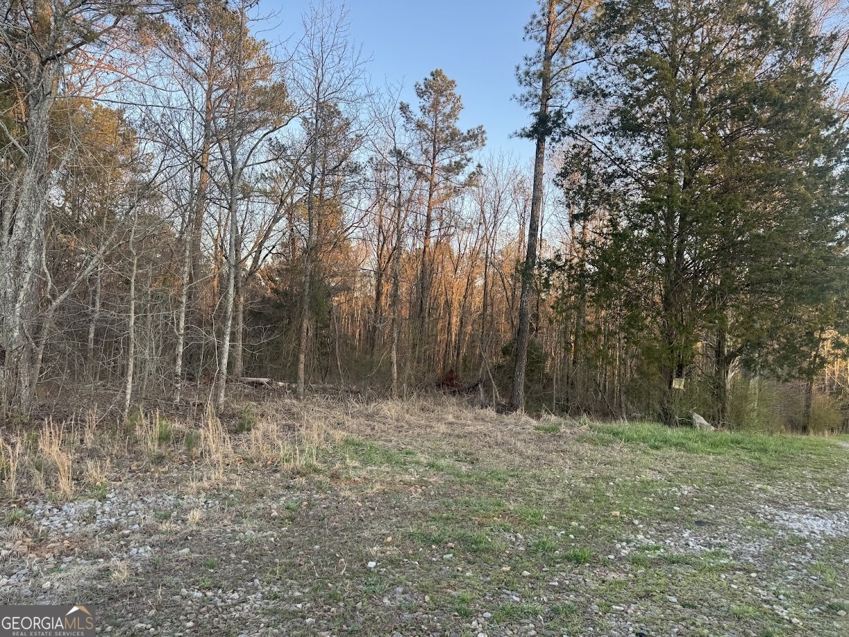 0 Clem Lowell Road Property Photo 5