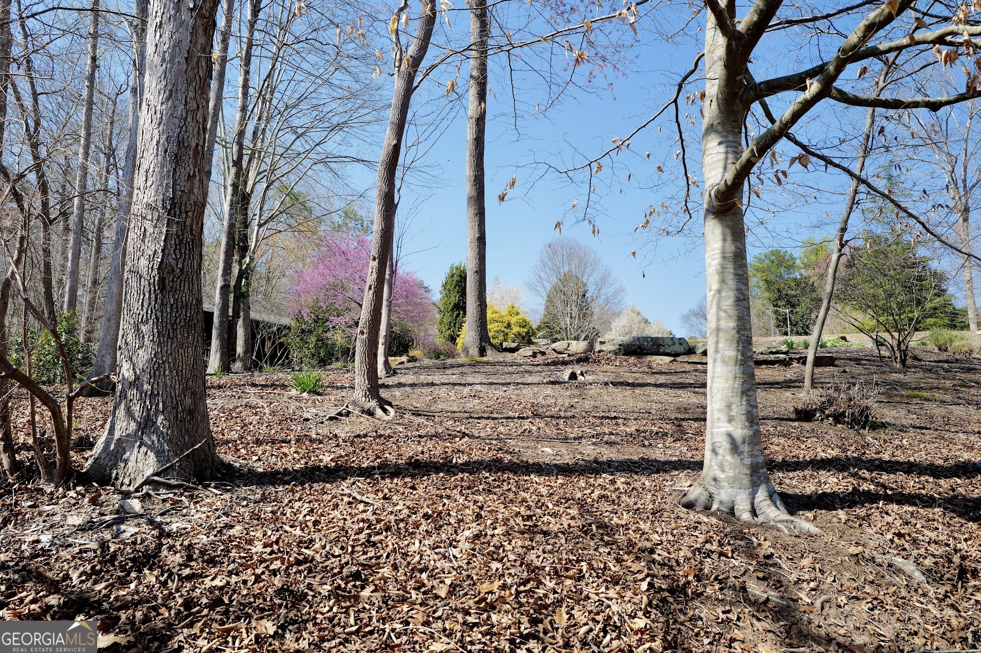 460 Prado Terrace Property Photo 7