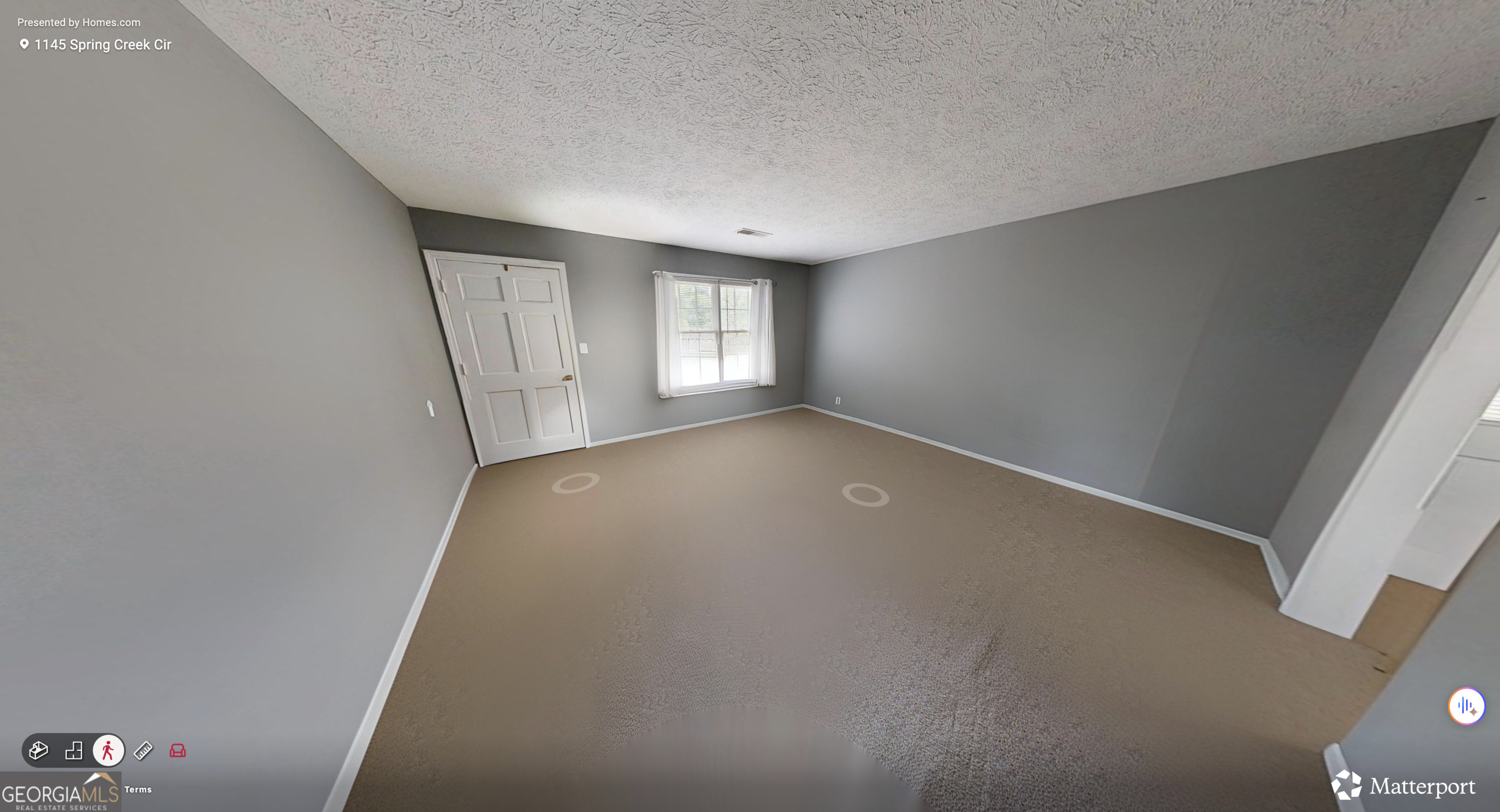 1145 Spring Creek Circle Property Photo 4