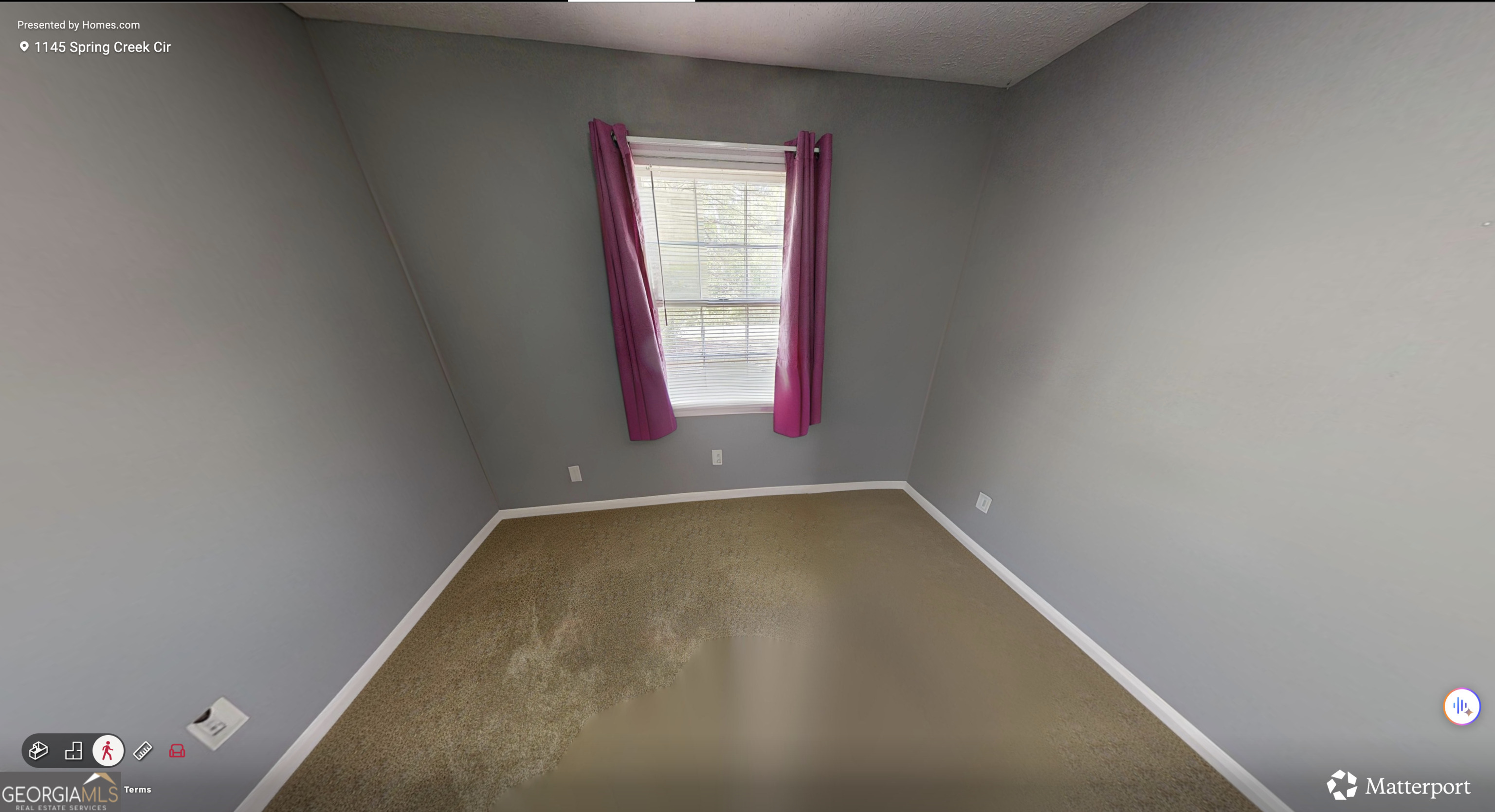 1145 Spring Creek Circle Property Photo 10