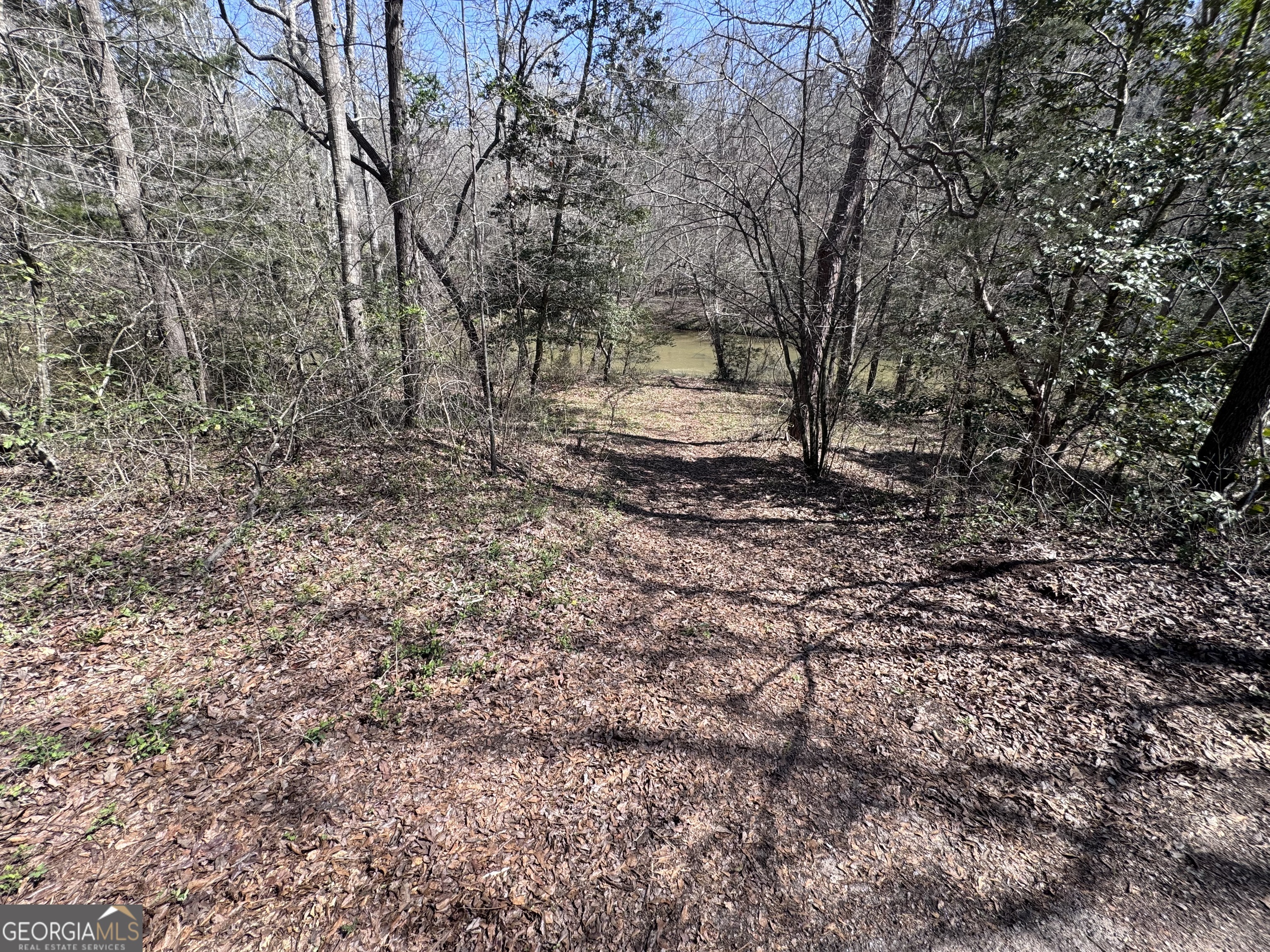 0 River Ridge Property Photo 24