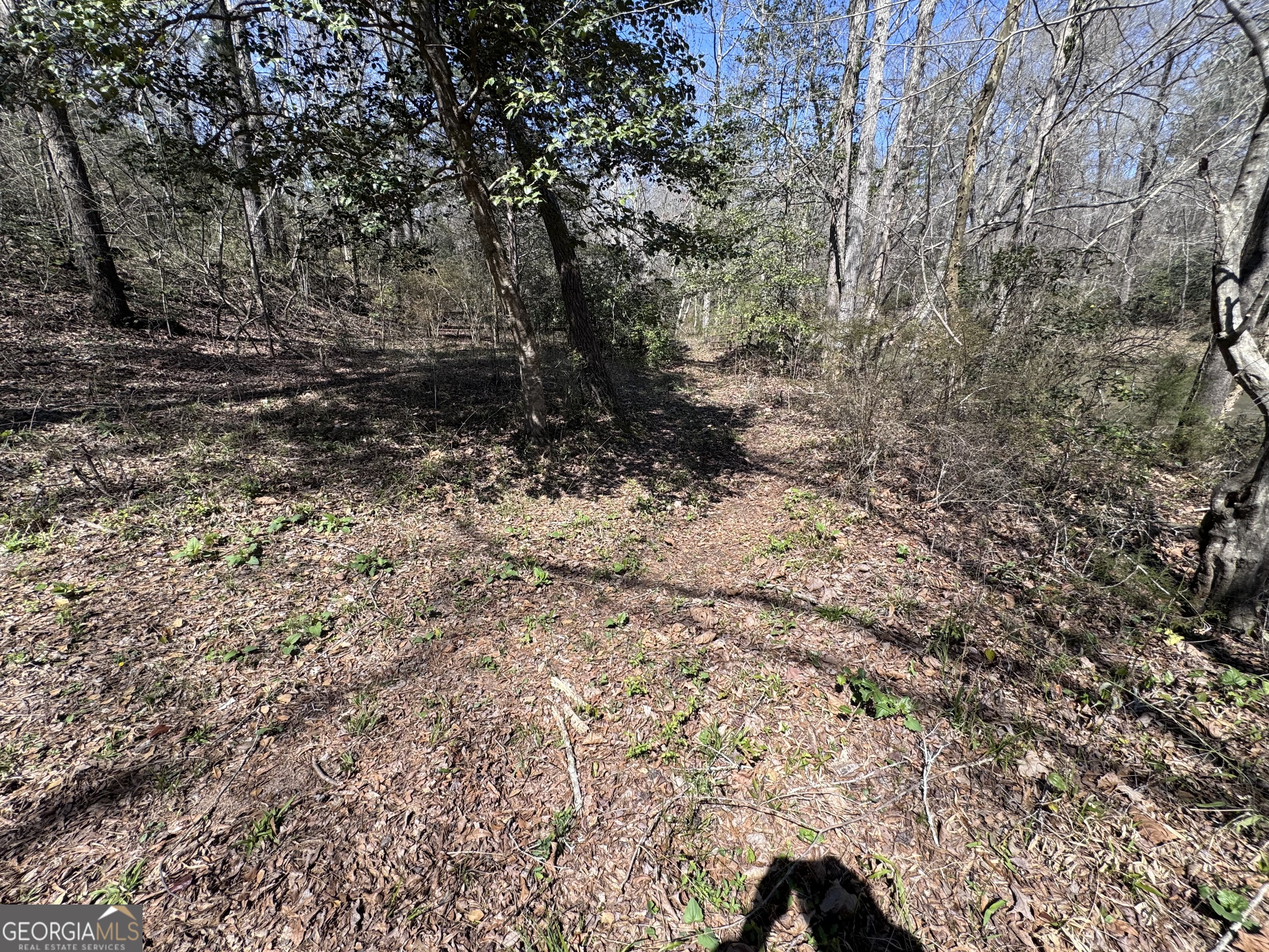 0 River Ridge Property Photo 25