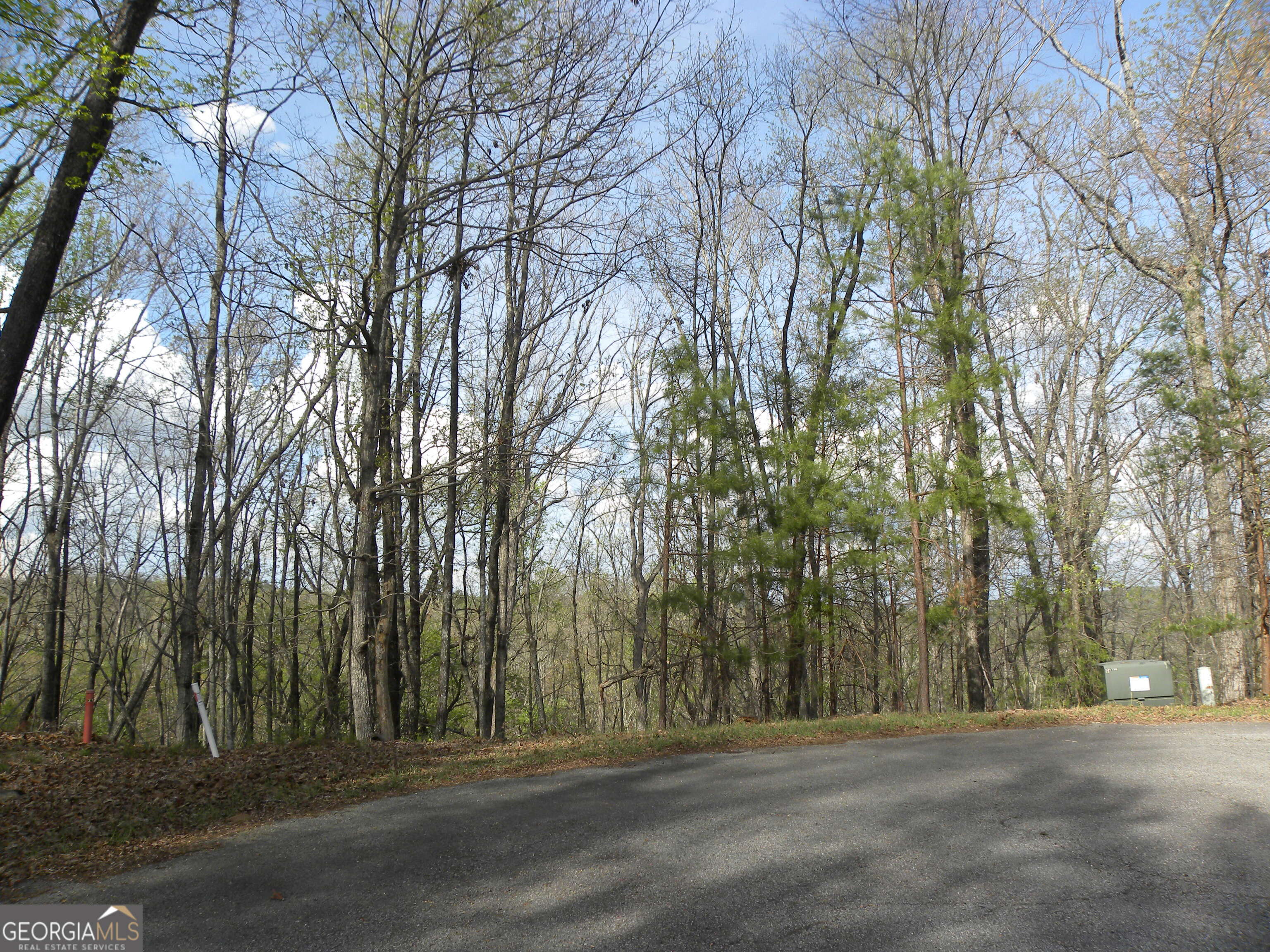 Lot 25 Planters Knoll Property Photo 6