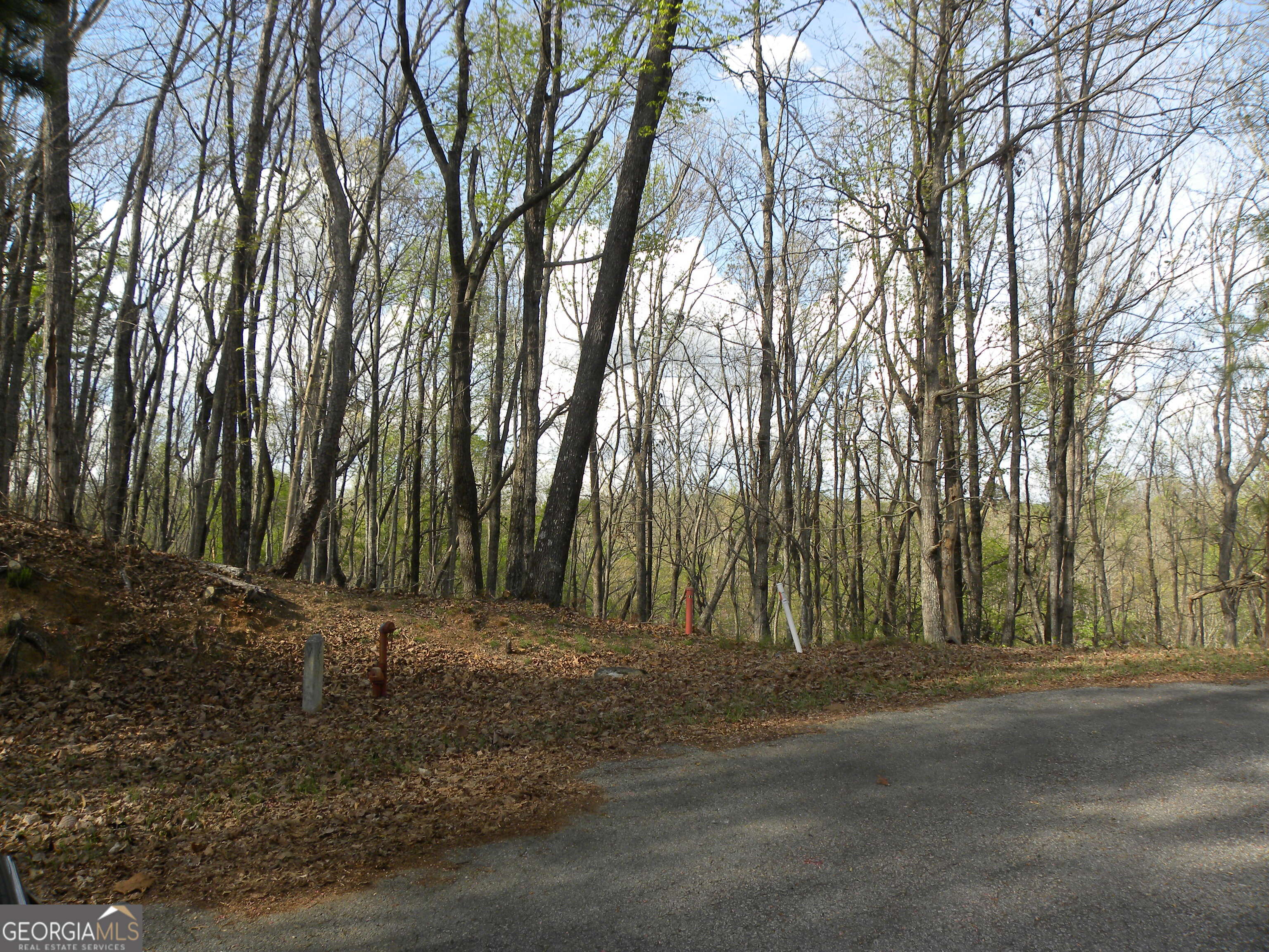 Lot 25 Planters Knoll Property Photo 7