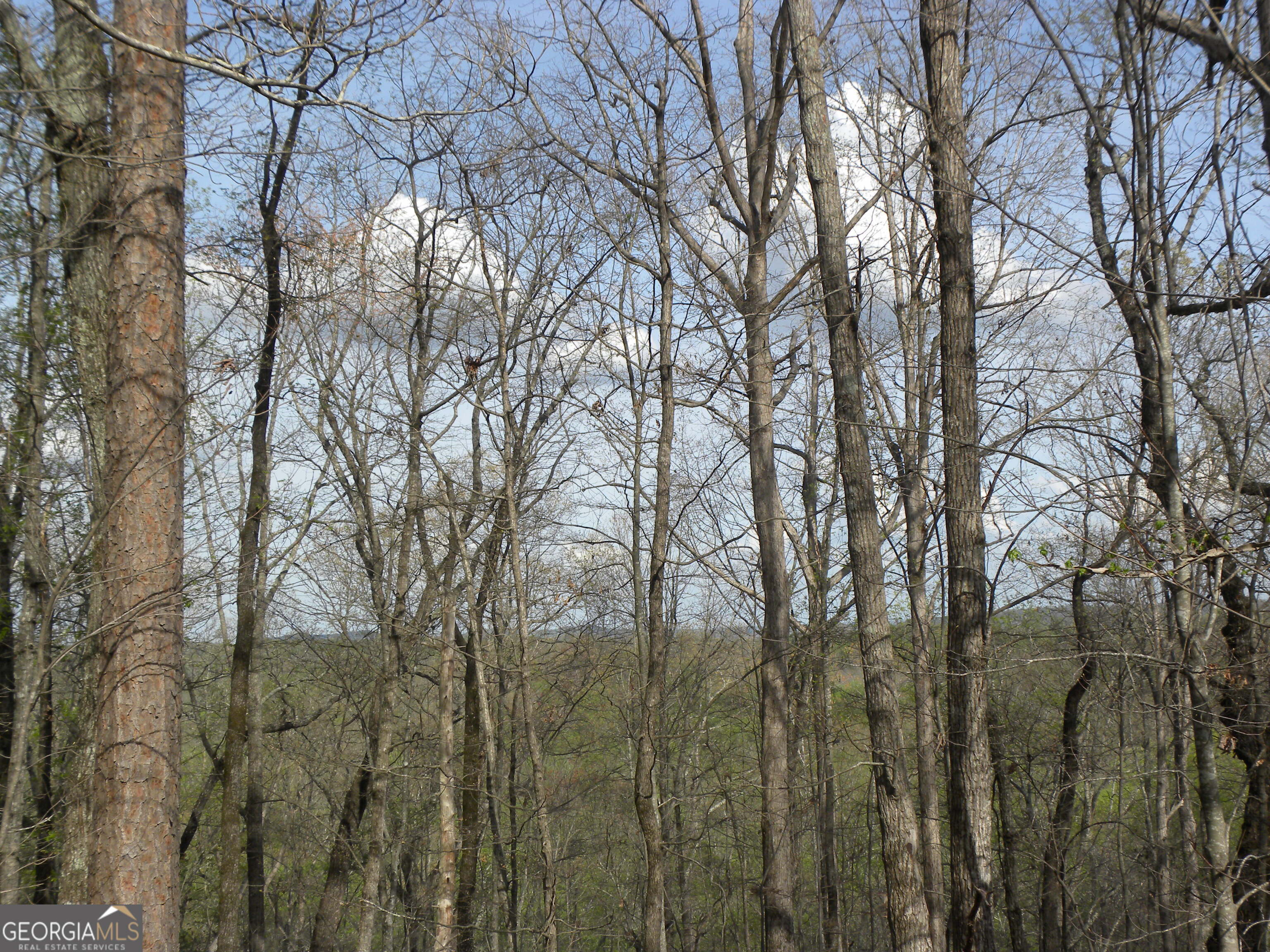 Lot 25 Planters Knoll Property Photo 8