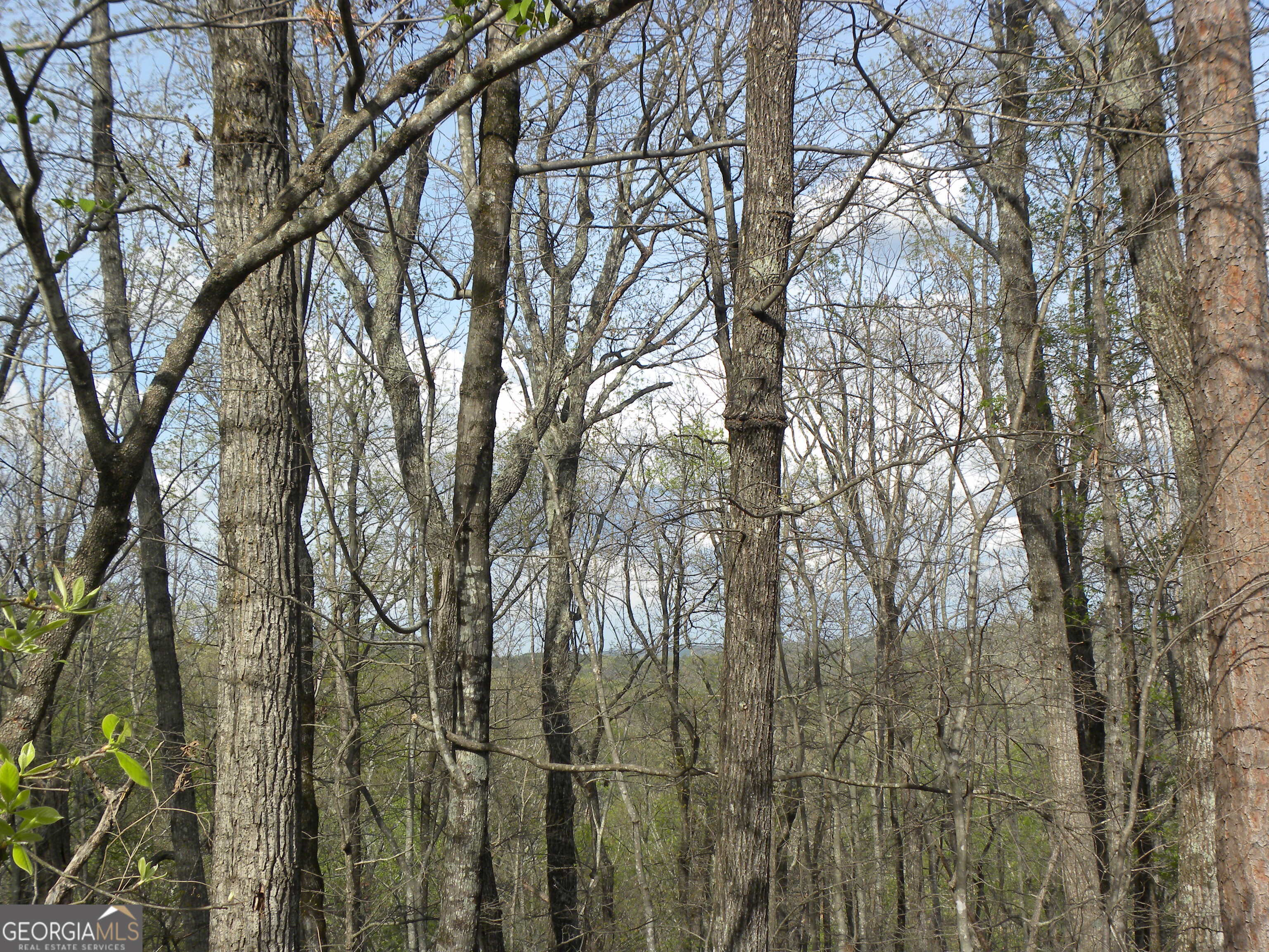 Lot 25 Planters Knoll Property Photo 9