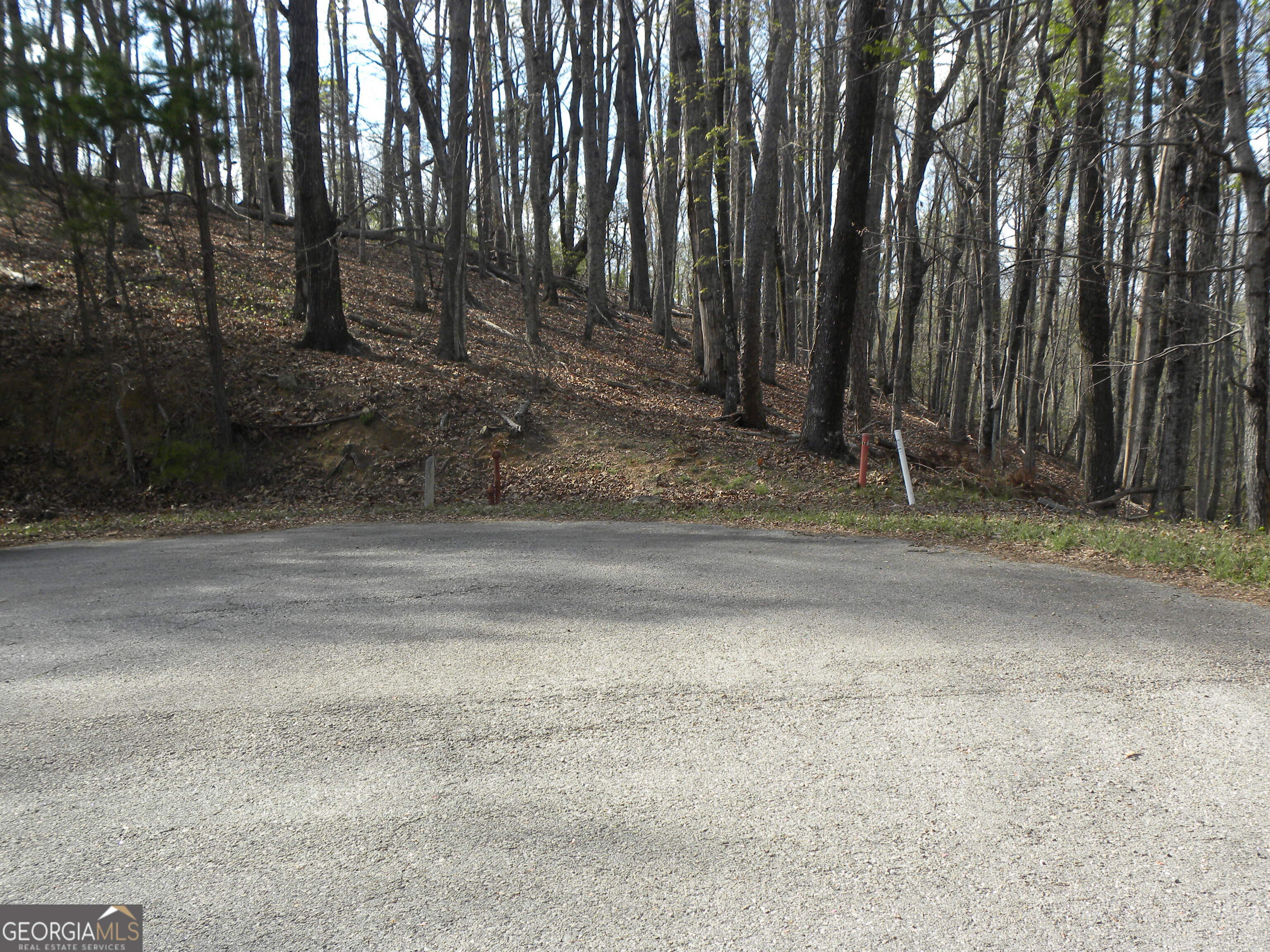 Lot 25 Planters Knoll Property Photo 10
