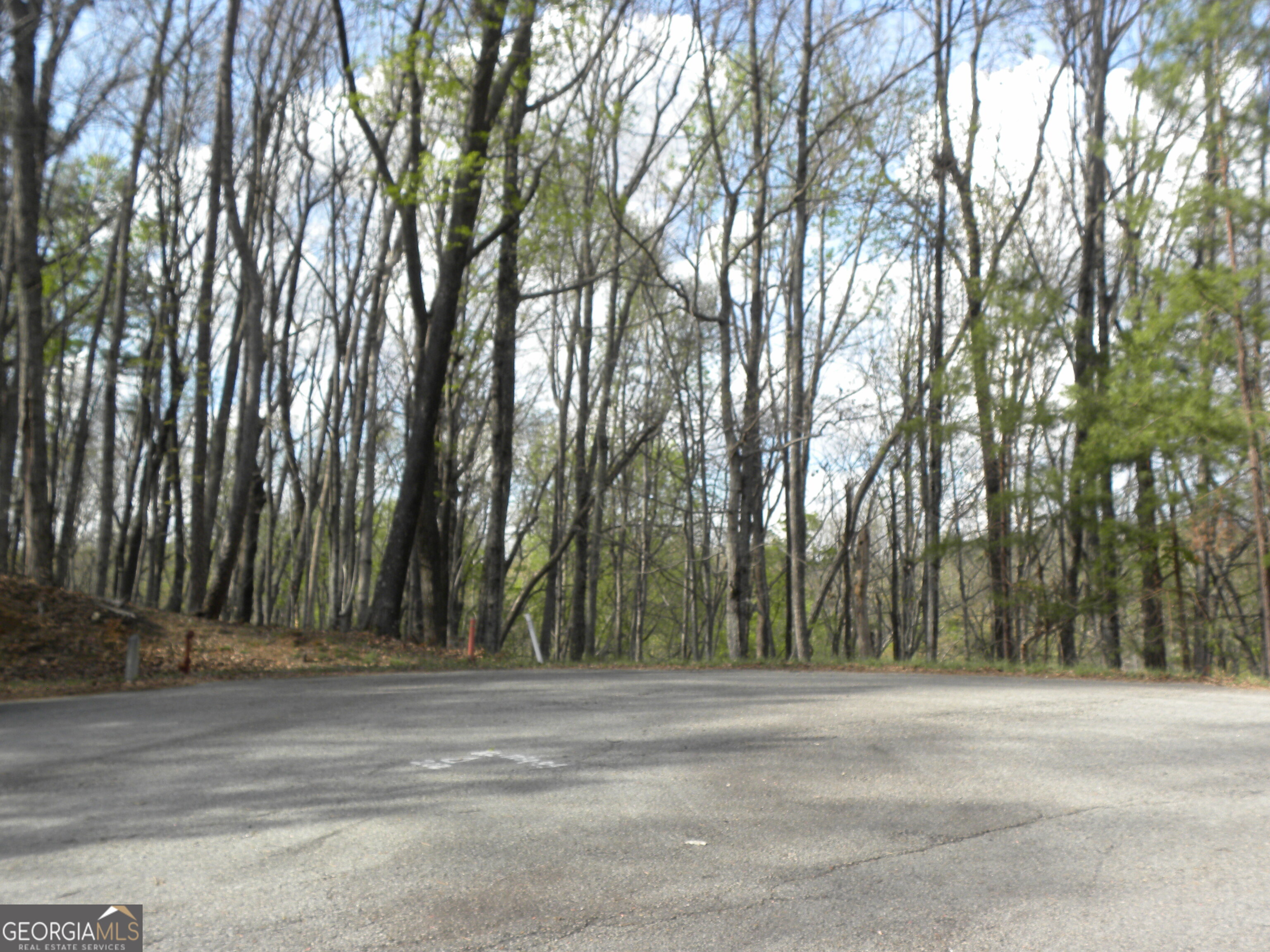 Lot 25 Planters Knoll Property Photo 11