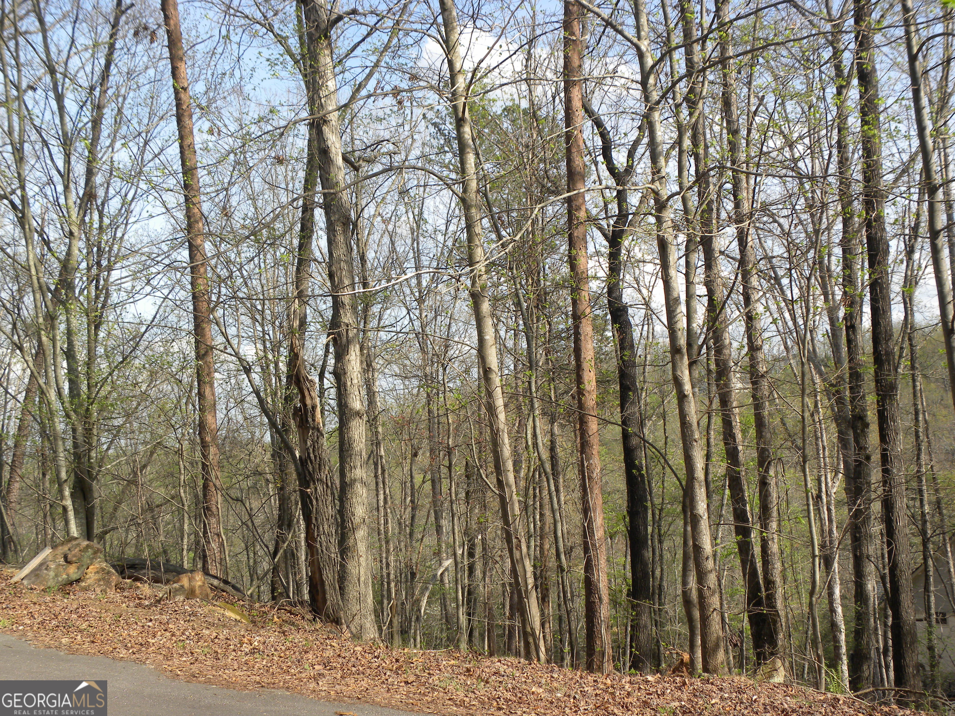Lot 25 Planters Knoll Property Photo 12