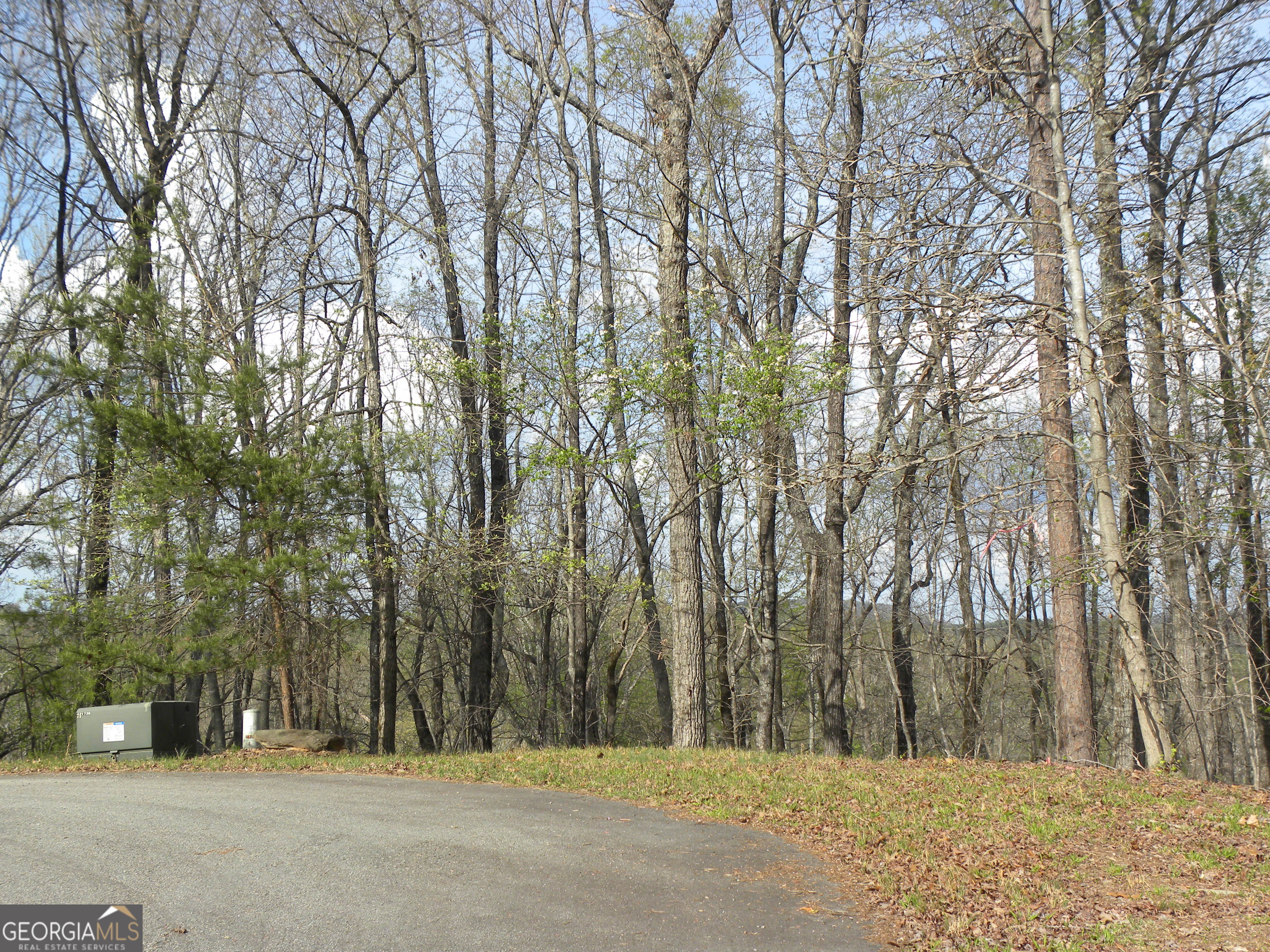 Lot 25 Planters Knoll Property Photo 13