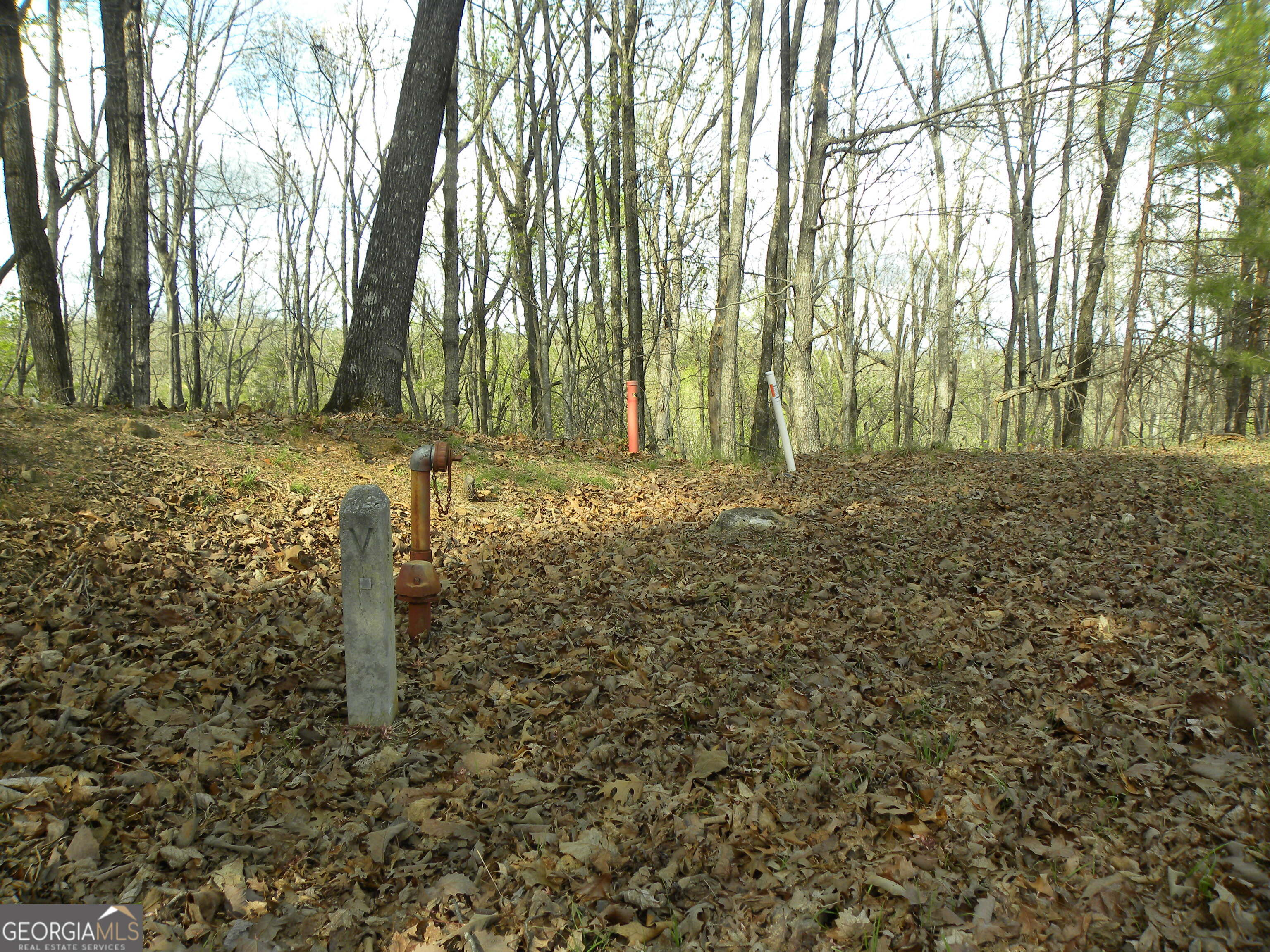 Lot 25 Planters Knoll Property Photo 14