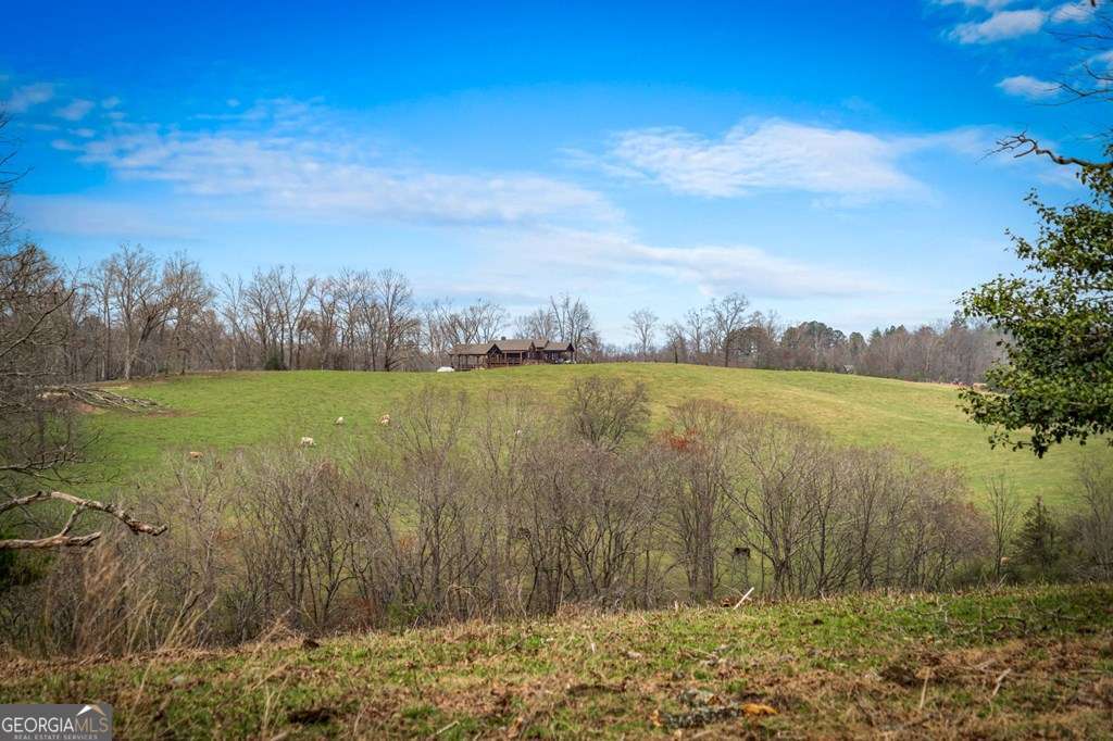 416 Windy Valley Trail Property Photo 55