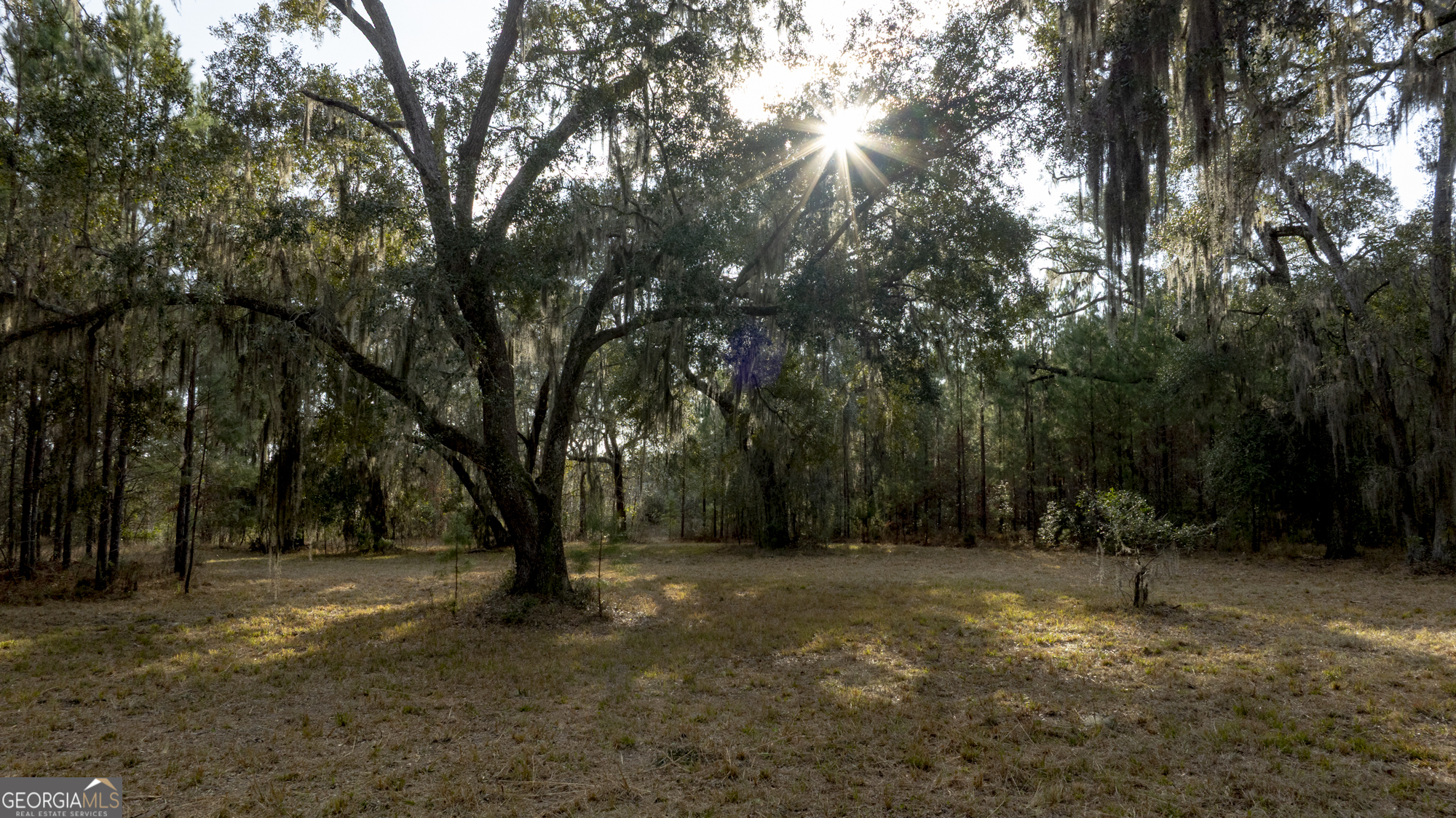 4577 N Coastal Highway Property Photo 6