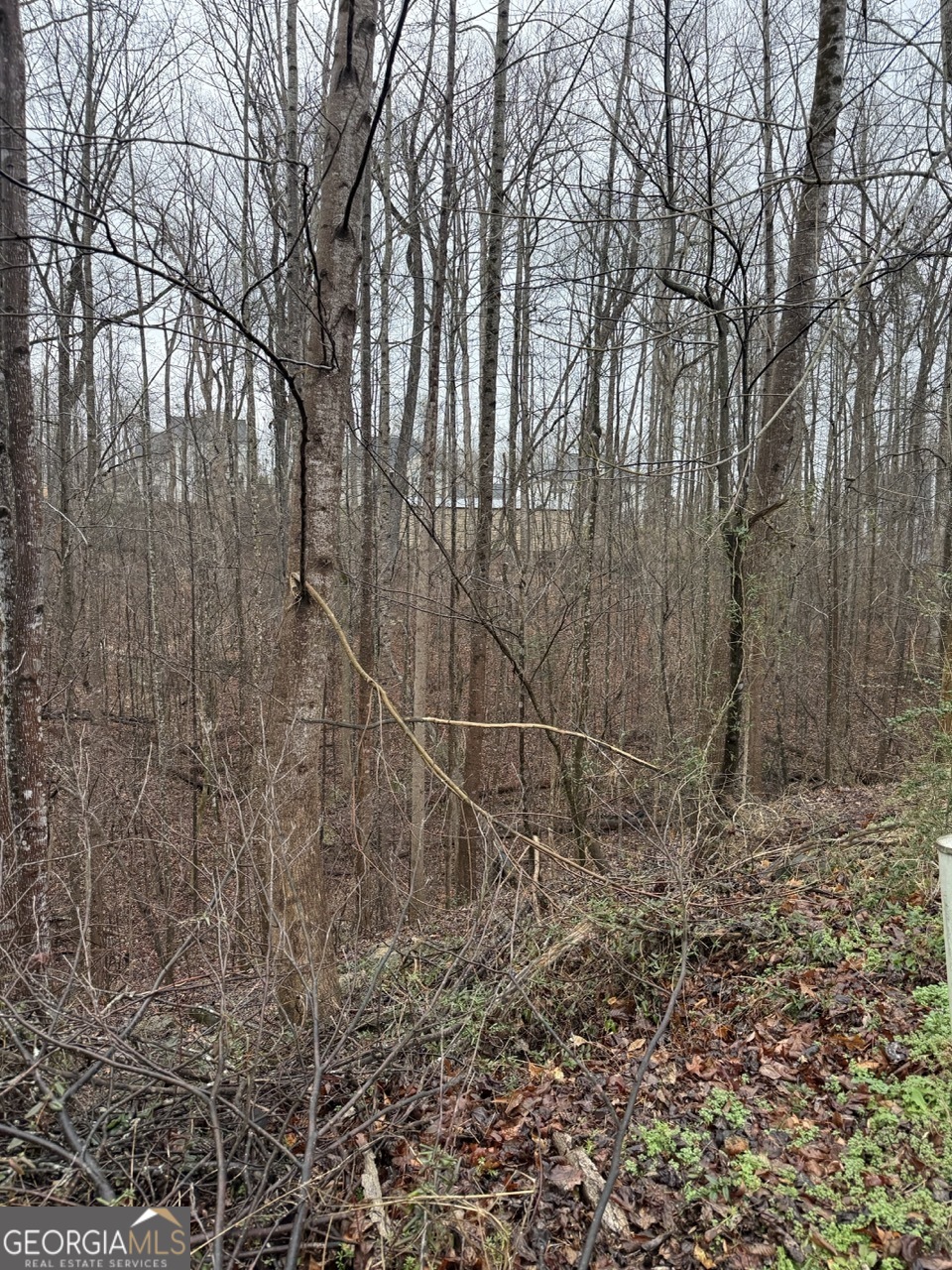 4638 Enfield Drive Property Photo 4