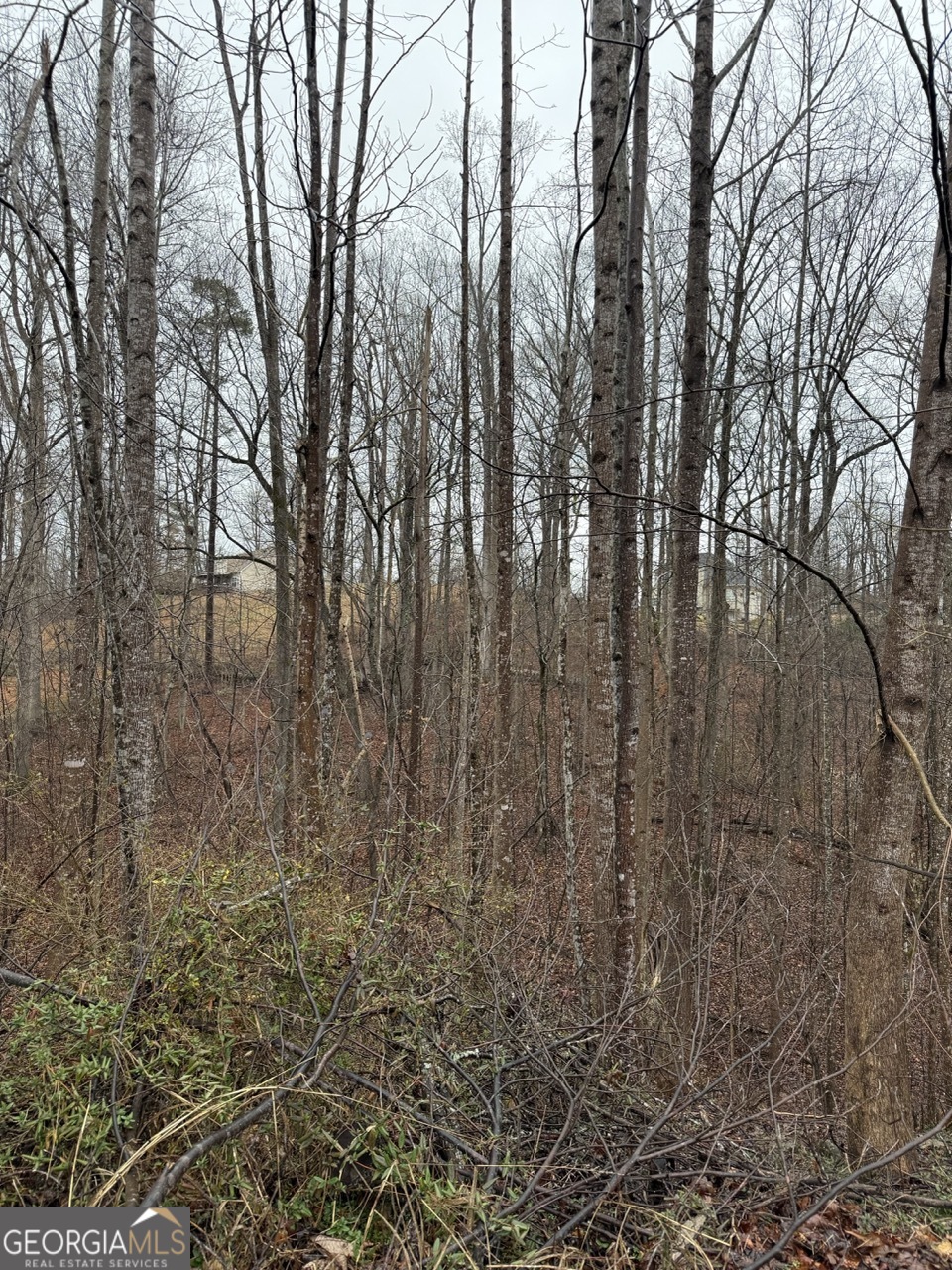 4638 Enfield Drive Property Photo 5
