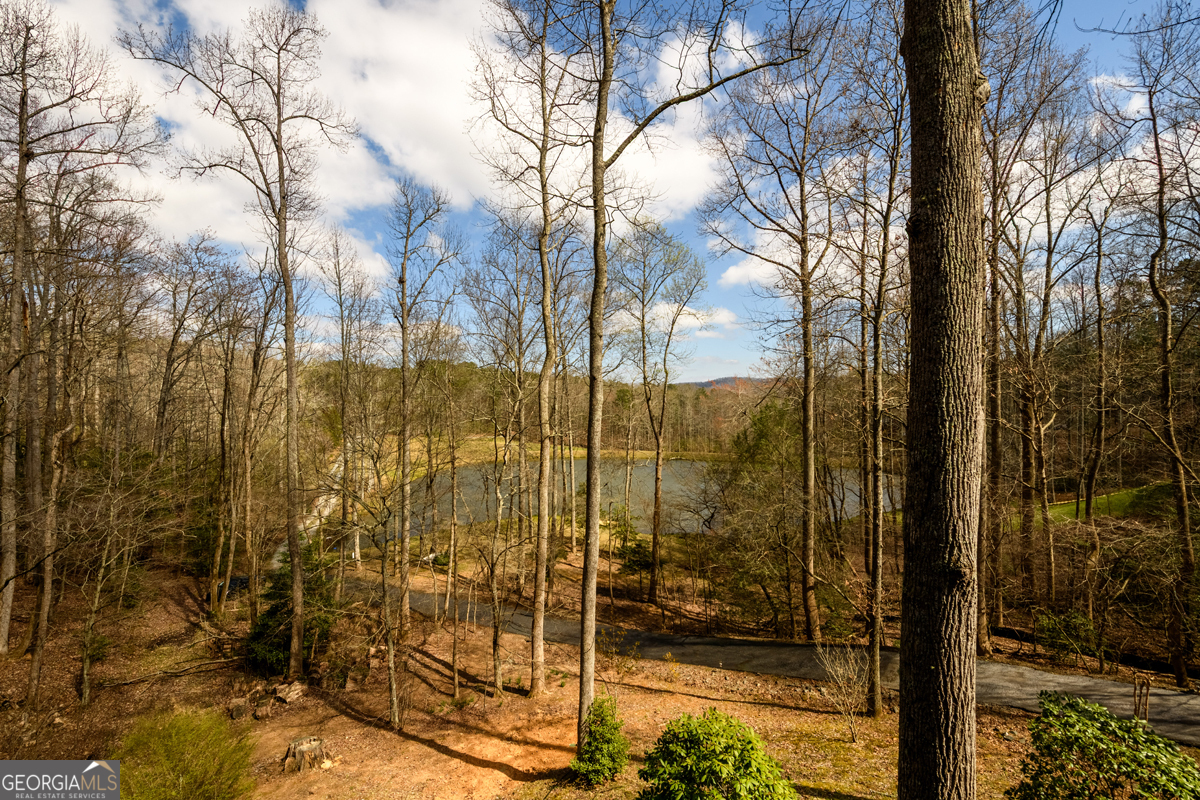 91 Whispering Lake Way Property Photo 9