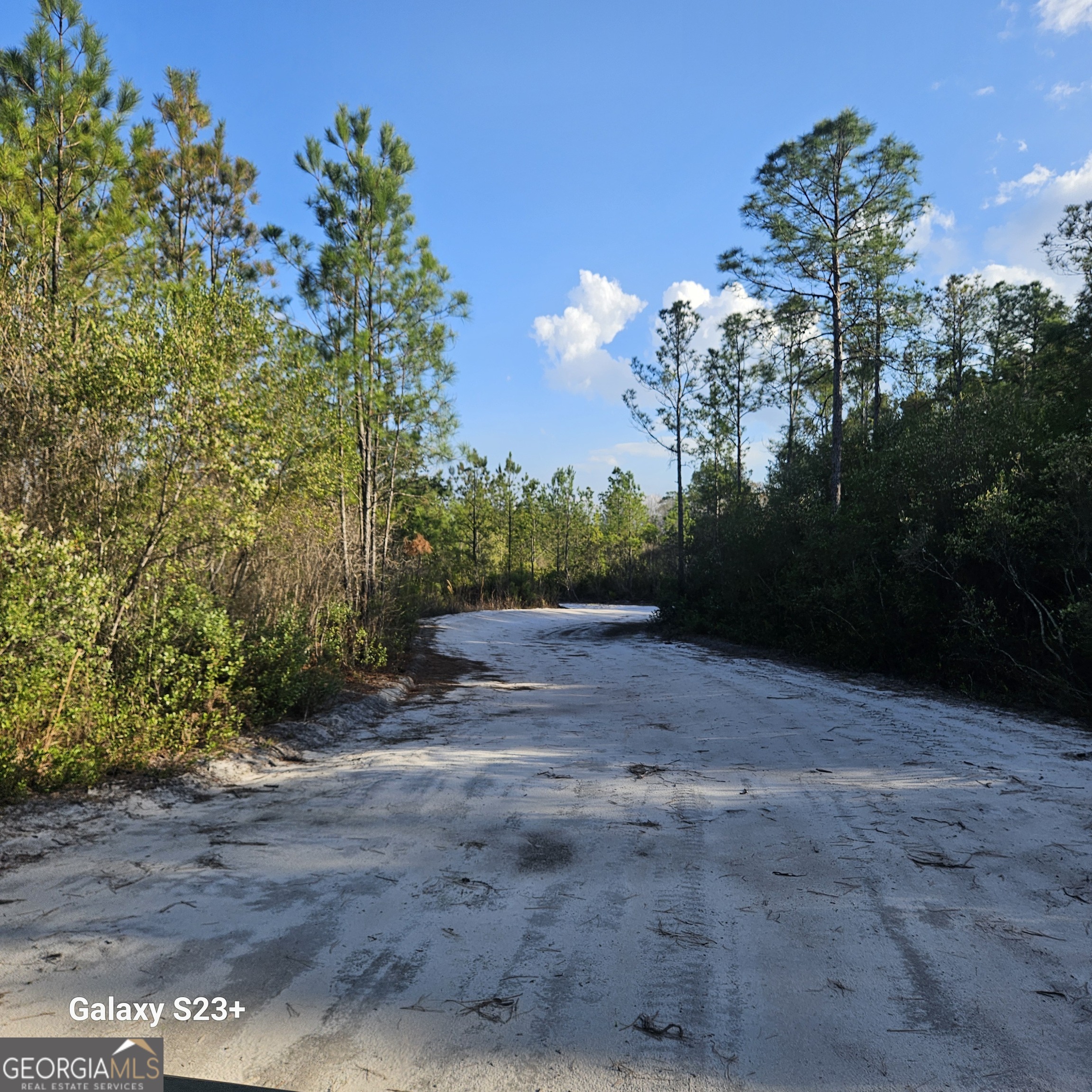 0 Mill Branch Club Rd 1g Property Photo 1